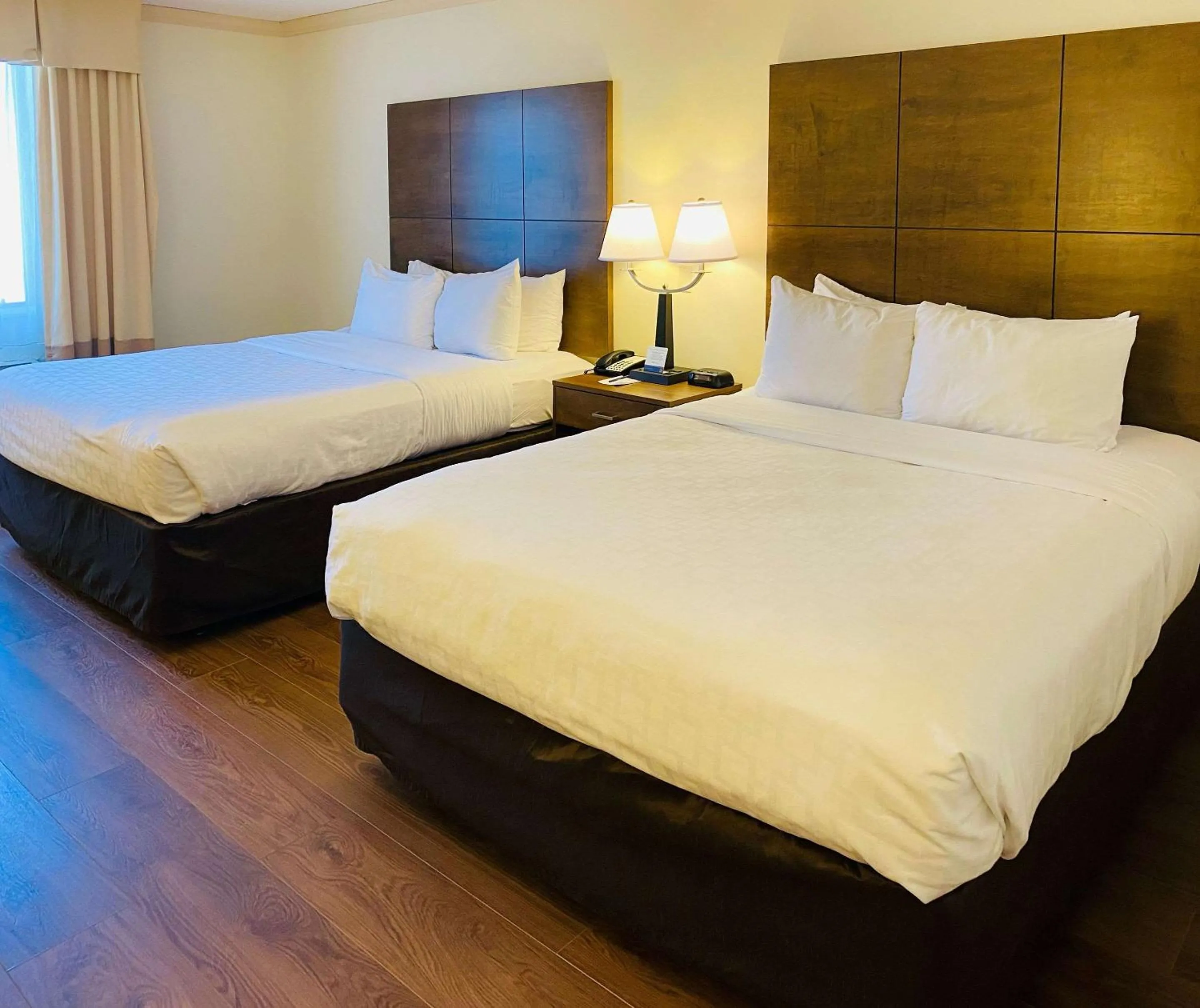 Photo of the whole room, Bed in Clarion Hotel & Conference Center Toms River