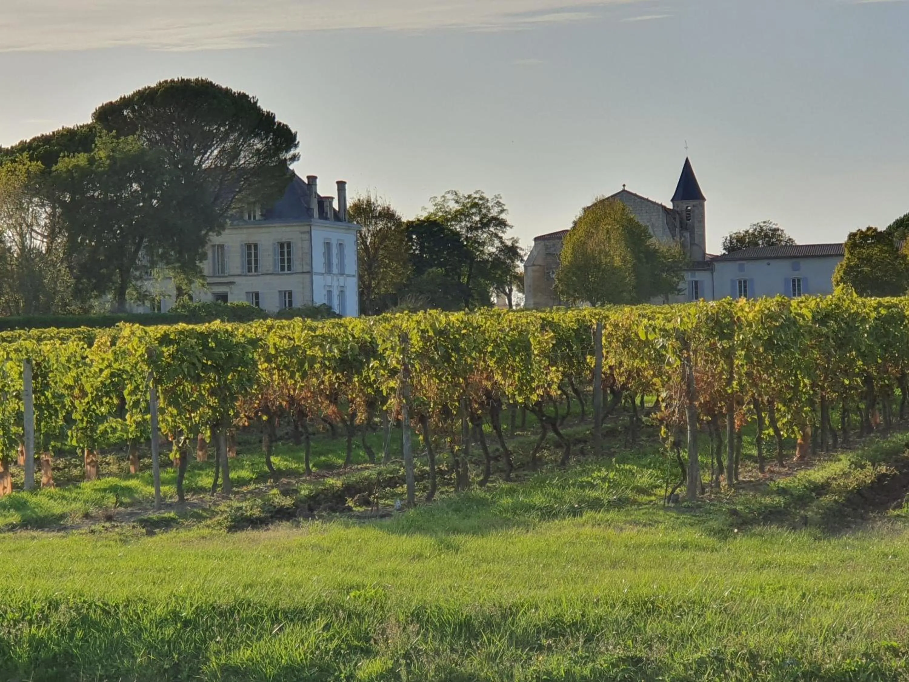 Property building in Le Logis d'Epargnes B&B and Gite