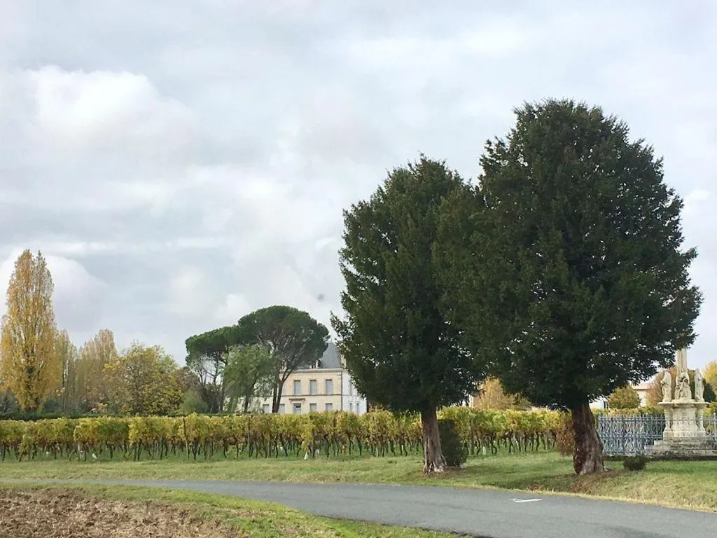 Natural landscape in Le Logis d'Epargnes B&B and Gite