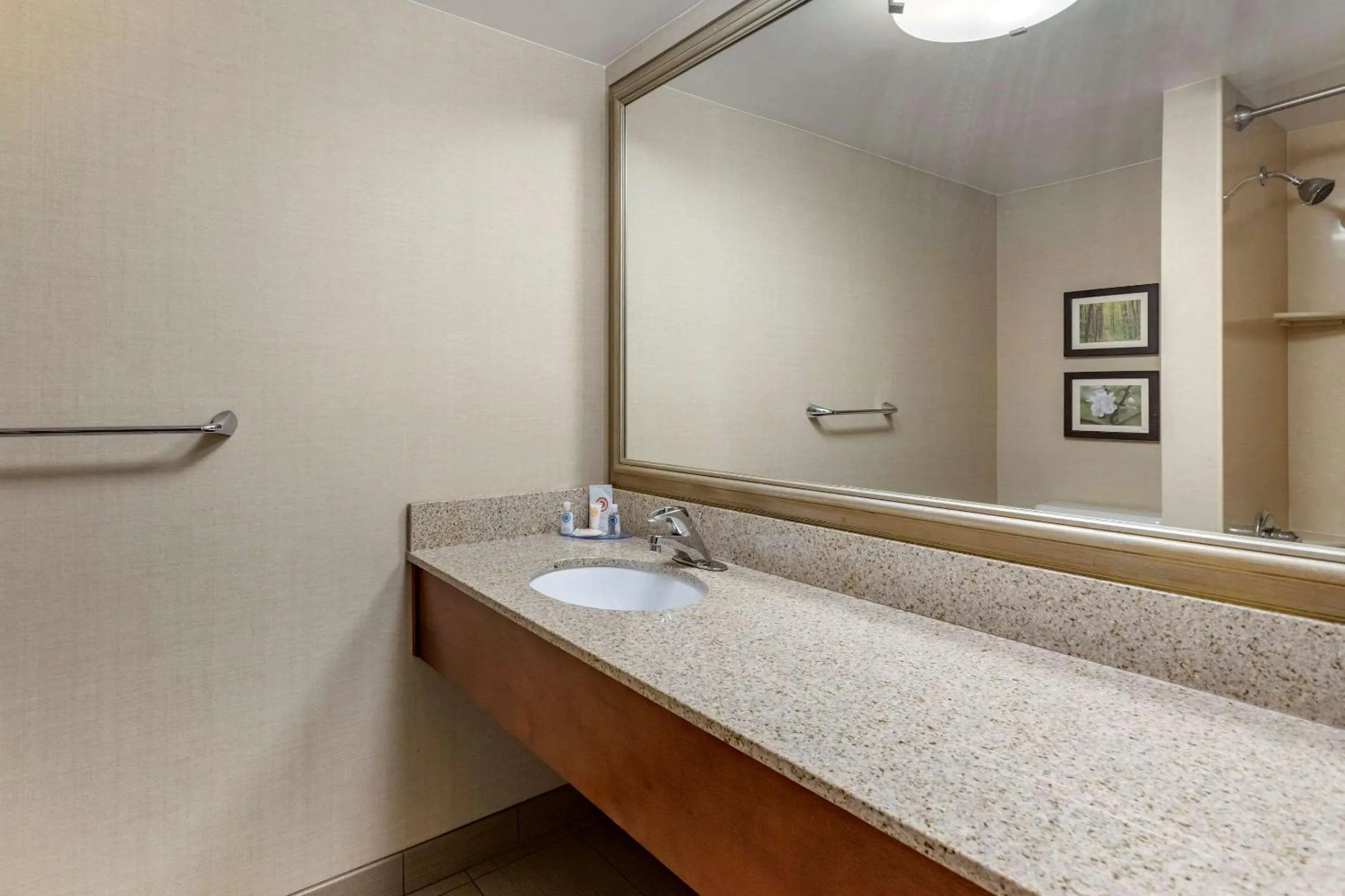 Bathroom in Comfort Inn Lansing West