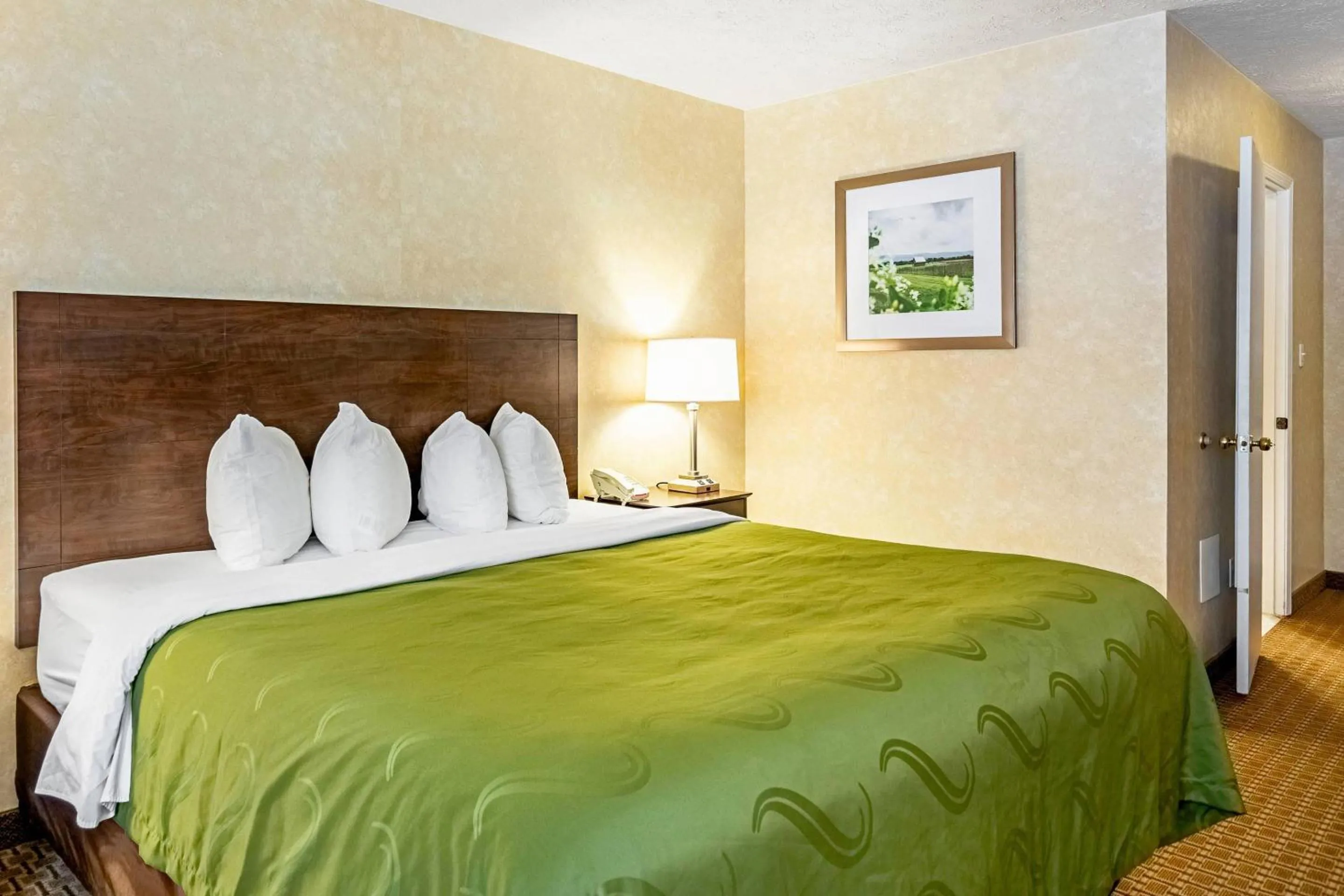 Bedroom, Bed in Quality Inn Burkeville Hwy 360 & 460