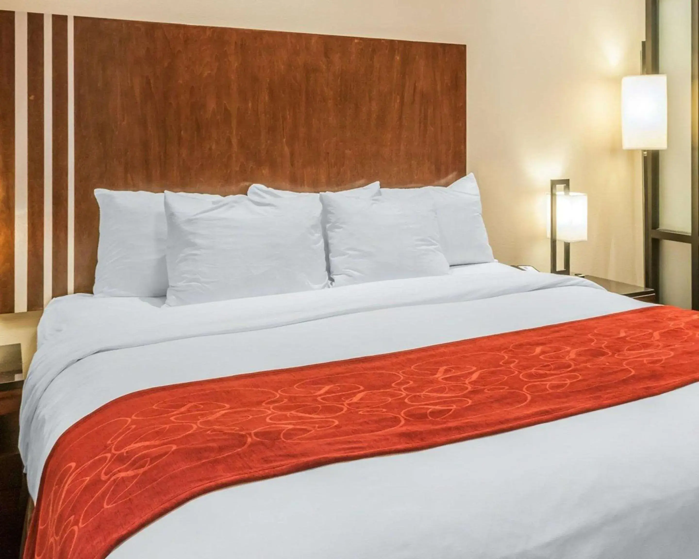 King Suite - Accessible/Non-Smoking in Comfort Suites Roswell North King Suite - Accessible/Non-Smoking in Comfort Suites Roswell North