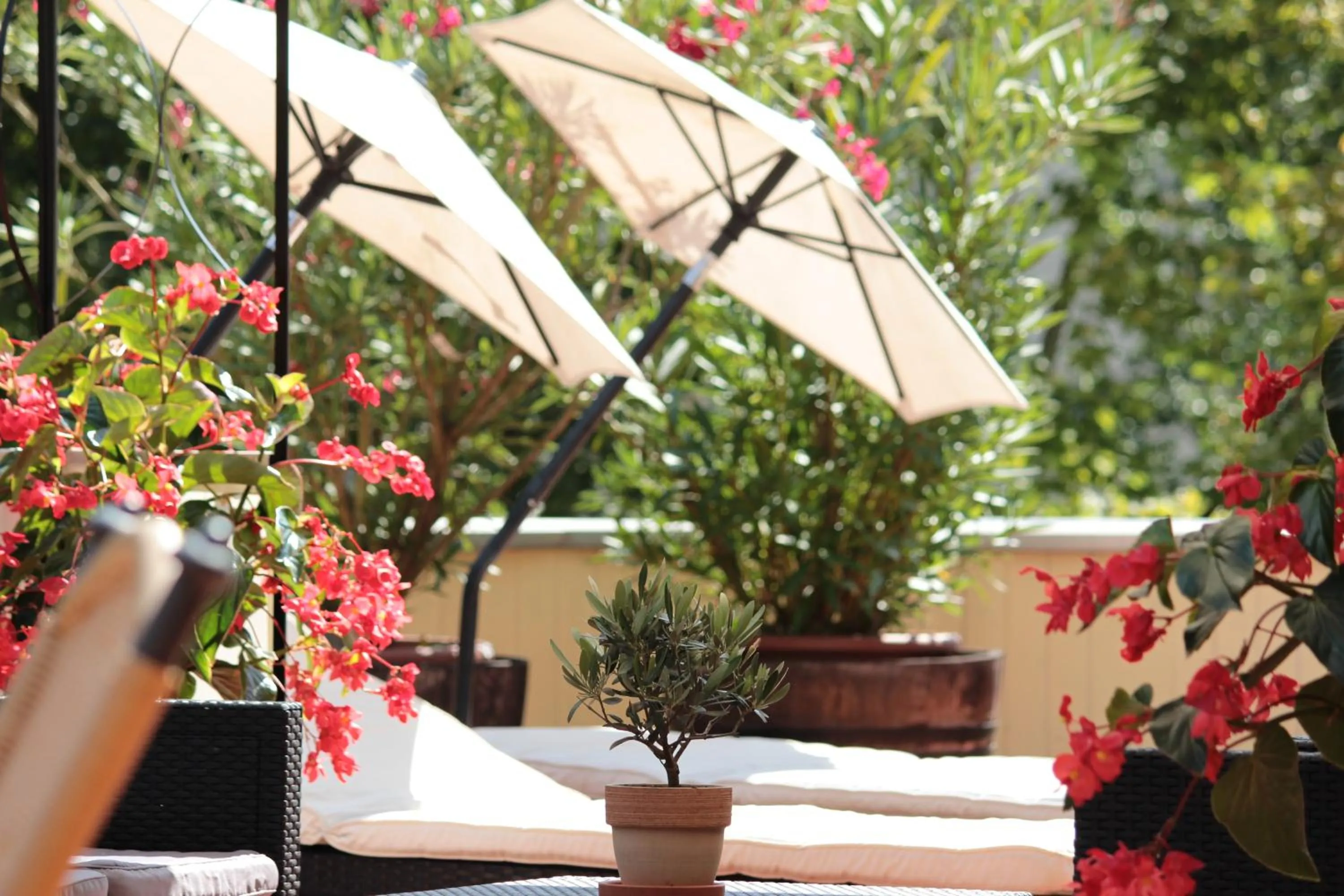 Patio in Blesius Garten