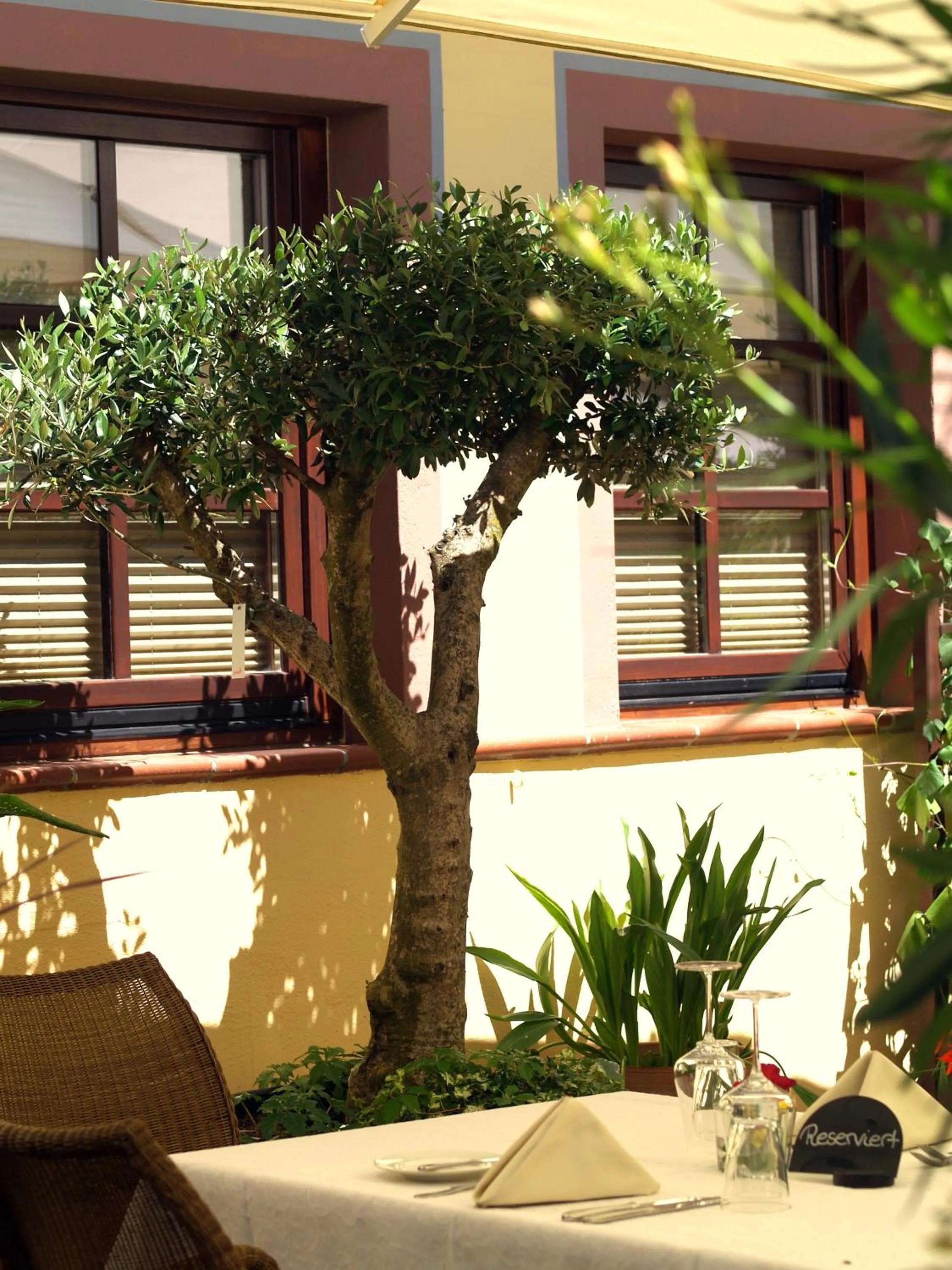 Balcony/Terrace in Blesius Garten
