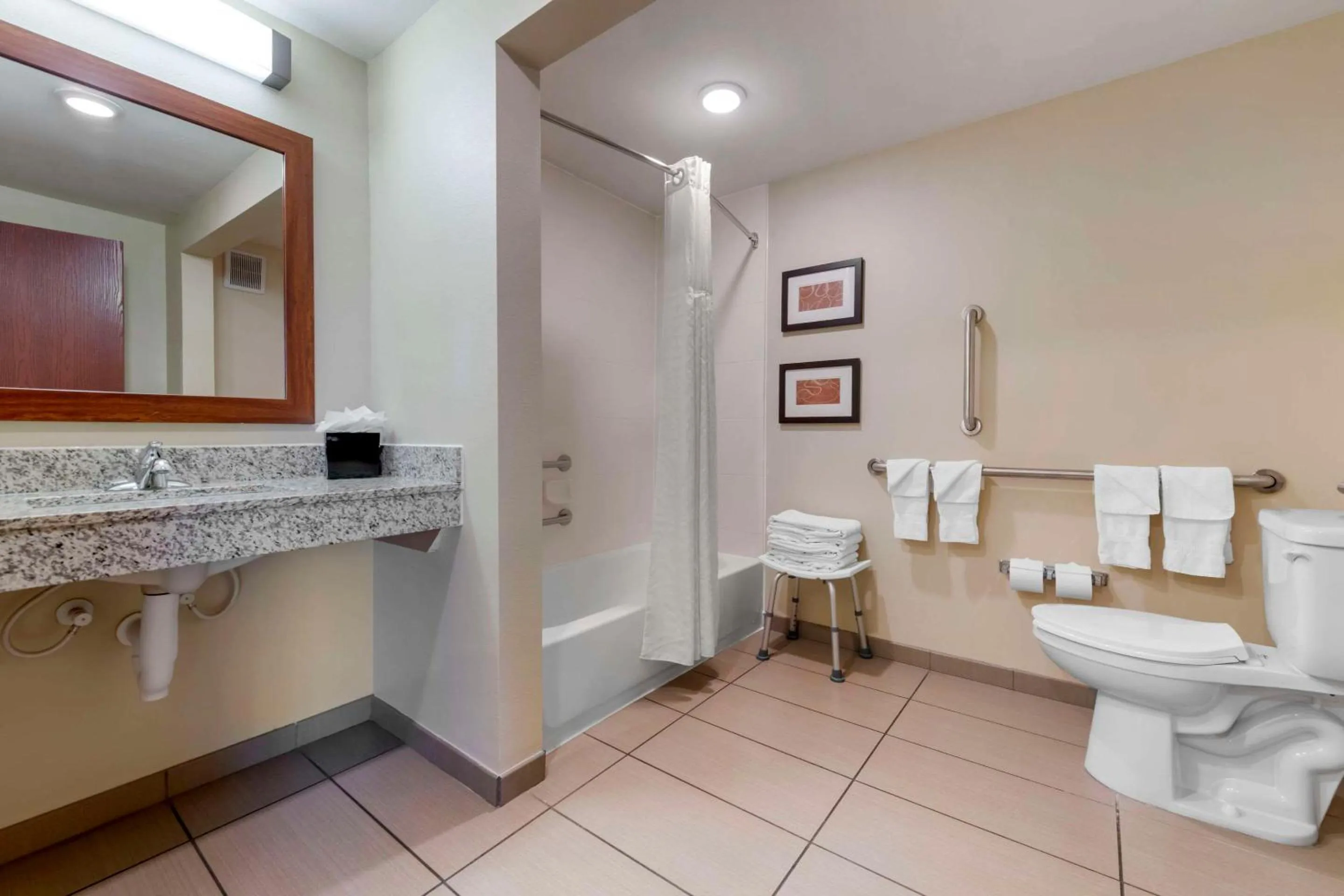 Bathroom in Comfort Suites & Conference Center