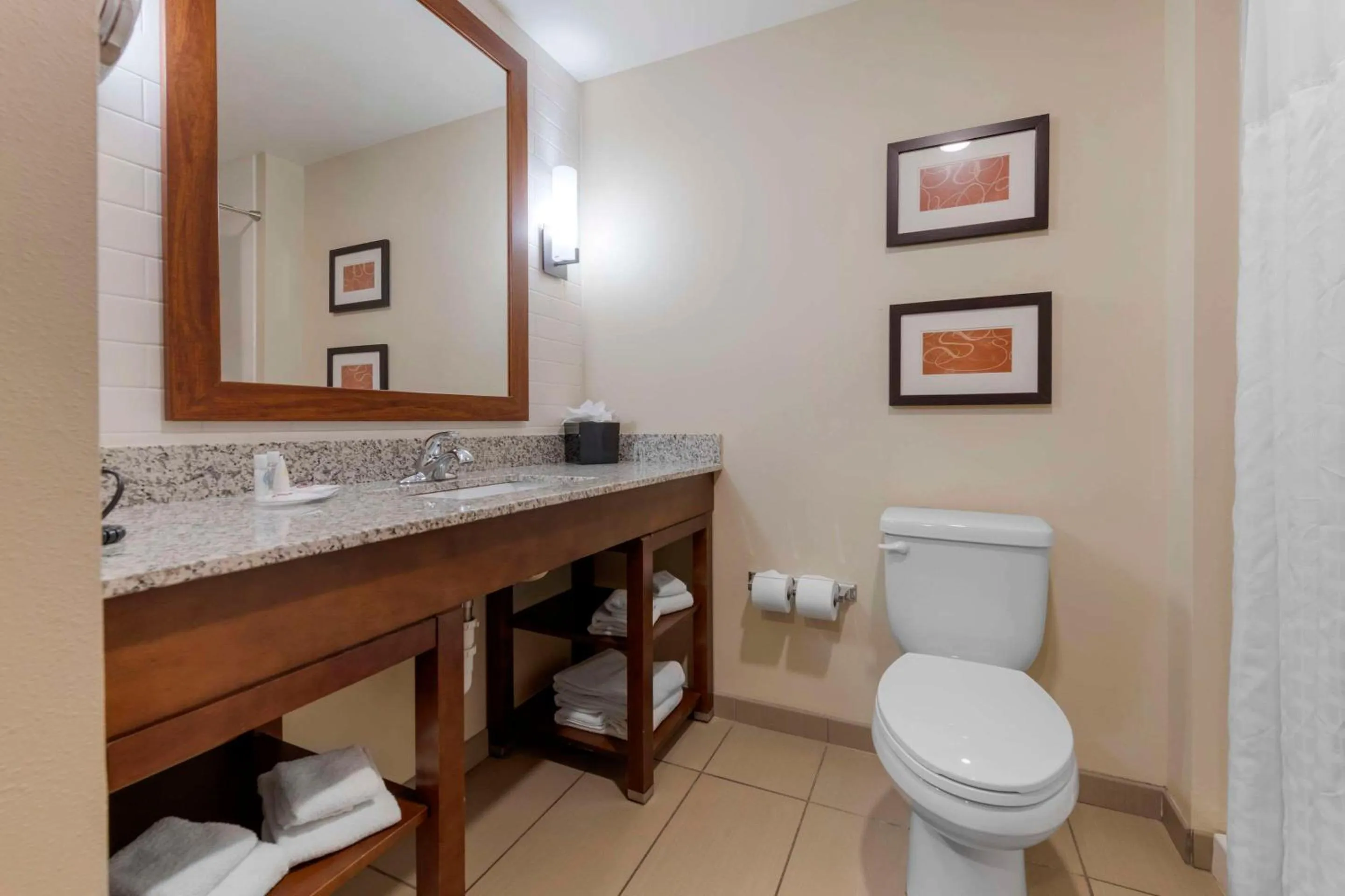 Bathroom in Comfort Suites & Conference Center