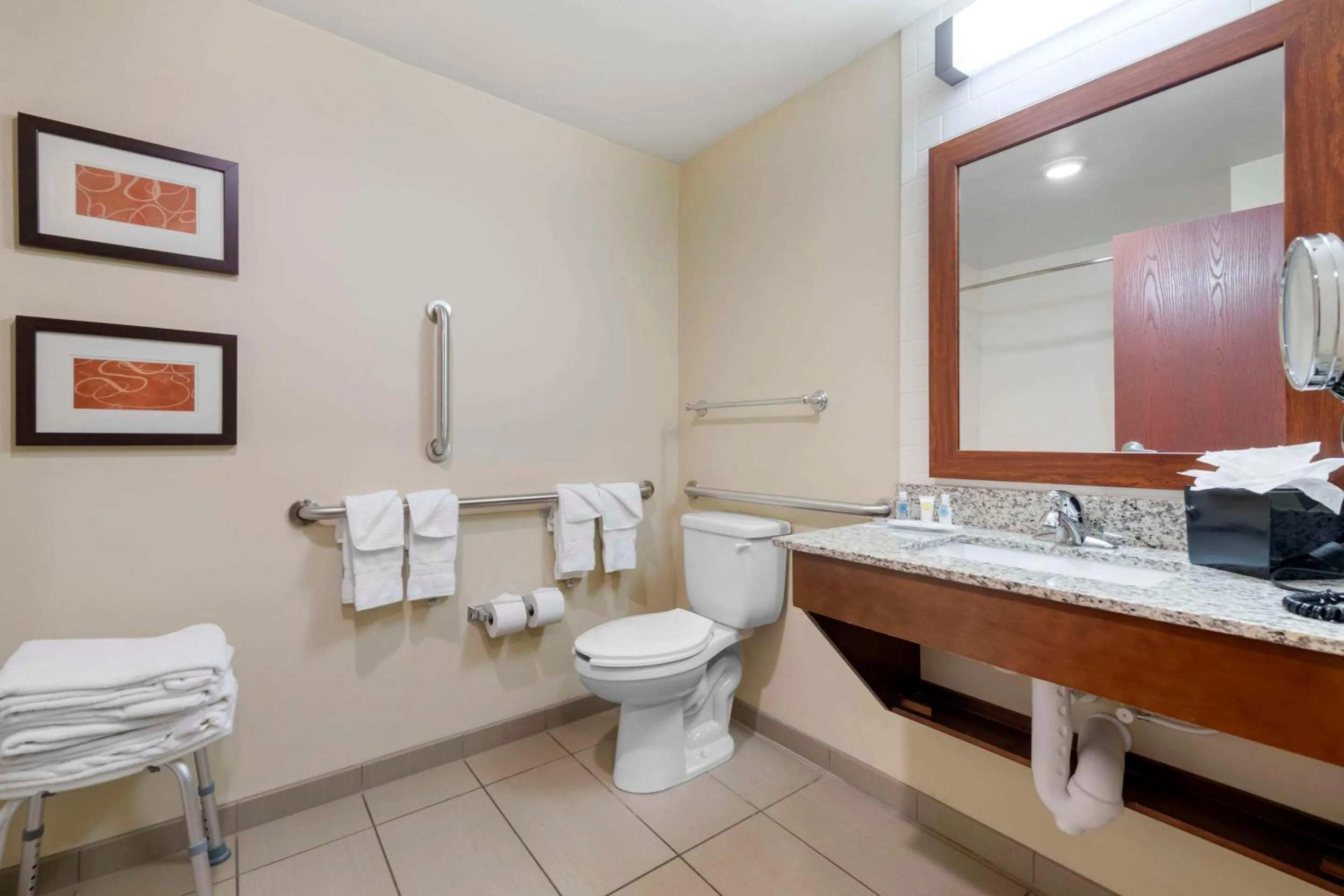 Bathroom in Comfort Suites & Conference Center