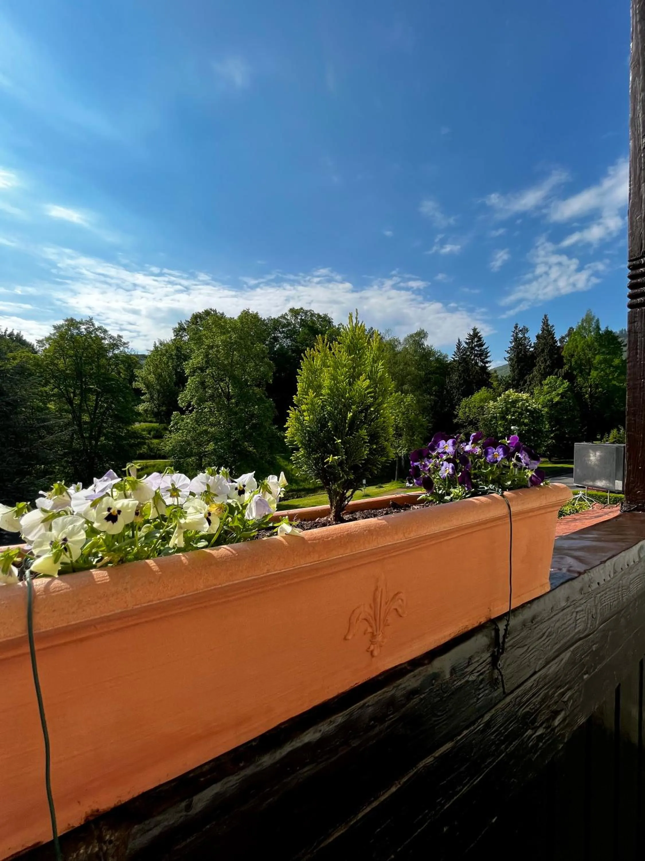 Natural landscape in PARK VILLA zentral am Mittelrhein Zimmer&Apartments Self check in Aparthotel