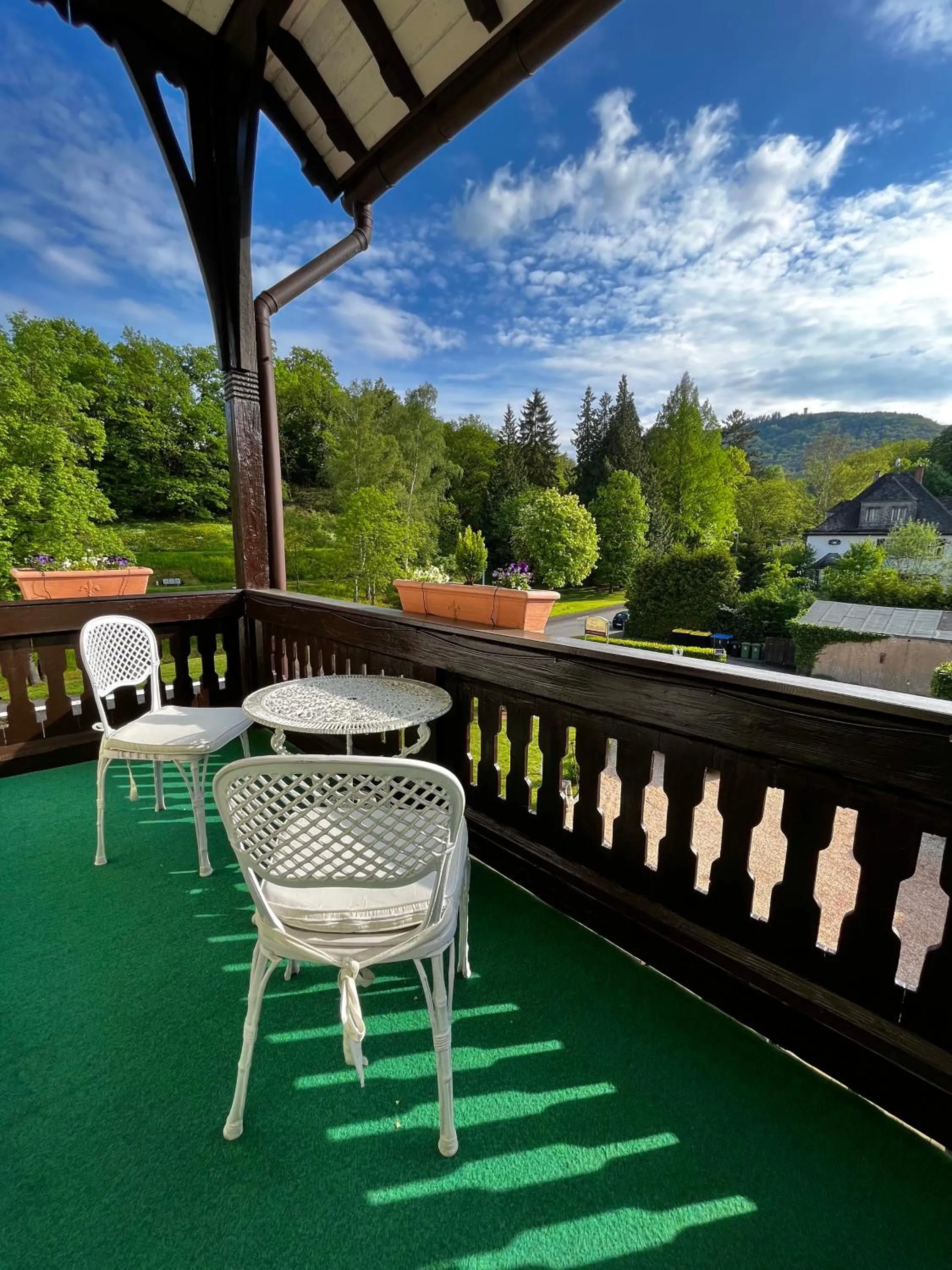 Natural landscape in PARK VILLA zentral am Mittelrhein Zimmer&Apartments Self check in Aparthotel