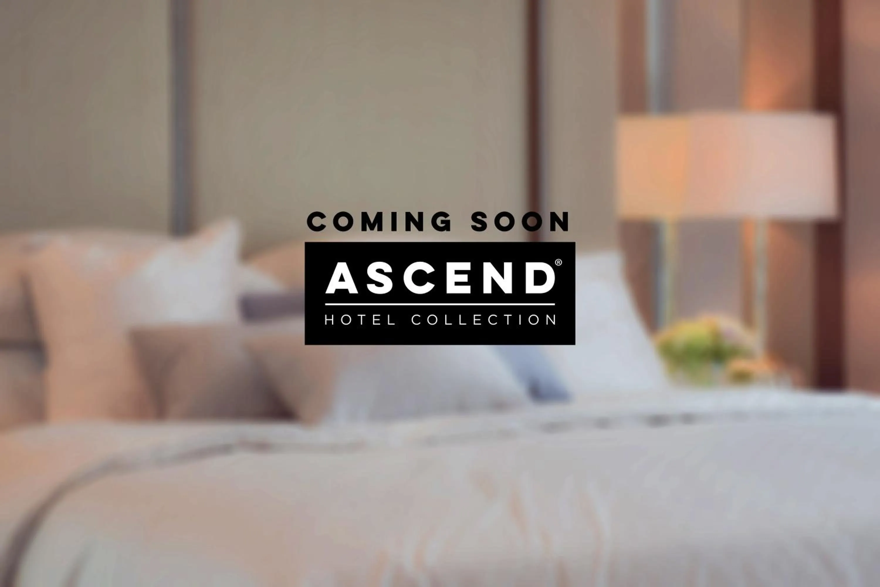 Bed in Lumber Jack Lodge, an Ascend Collection Hotel