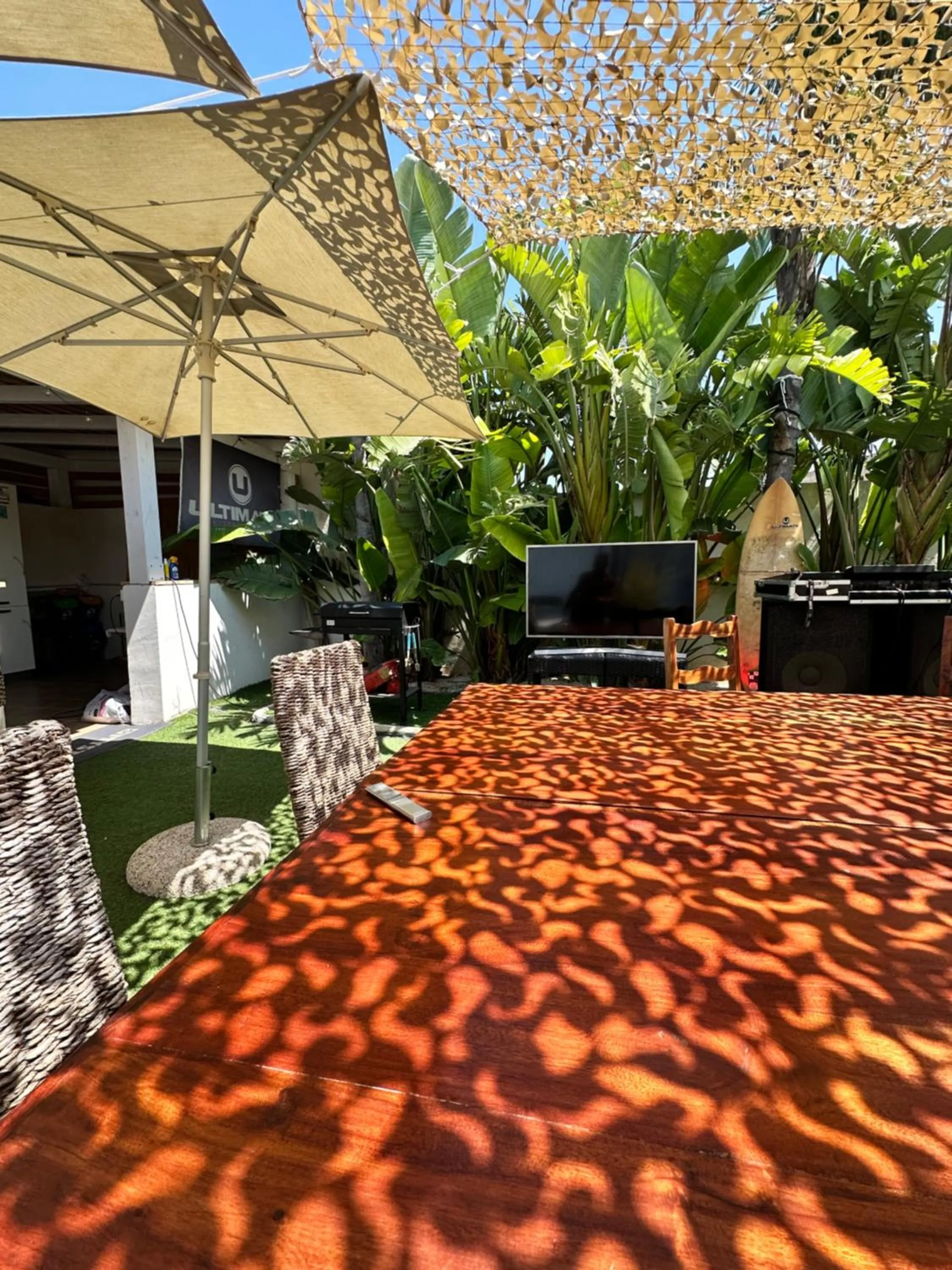 Garden in Sunset Wave - STAGNONE KITESURF VILLAGE