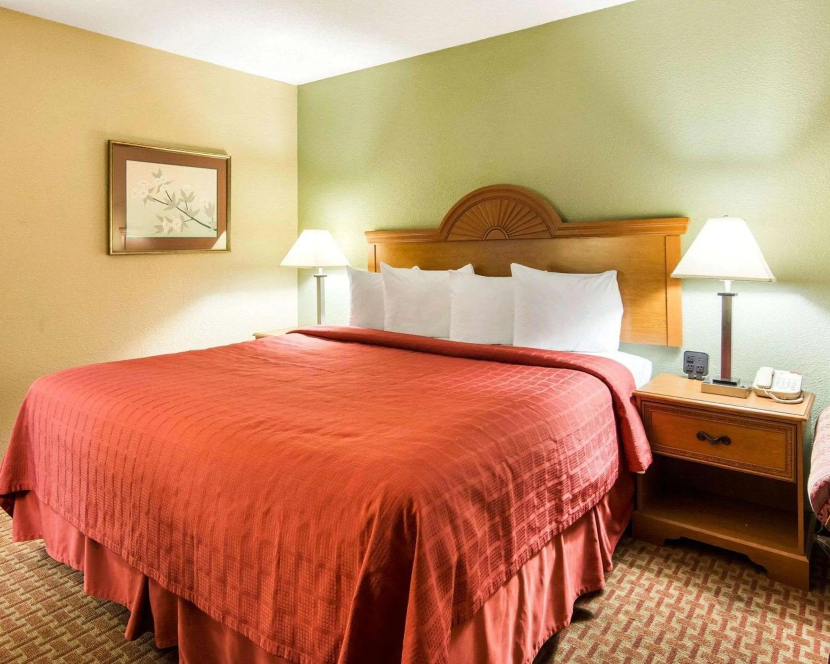 Photo of the whole room, Bed in Quality Inn South Hill I-85