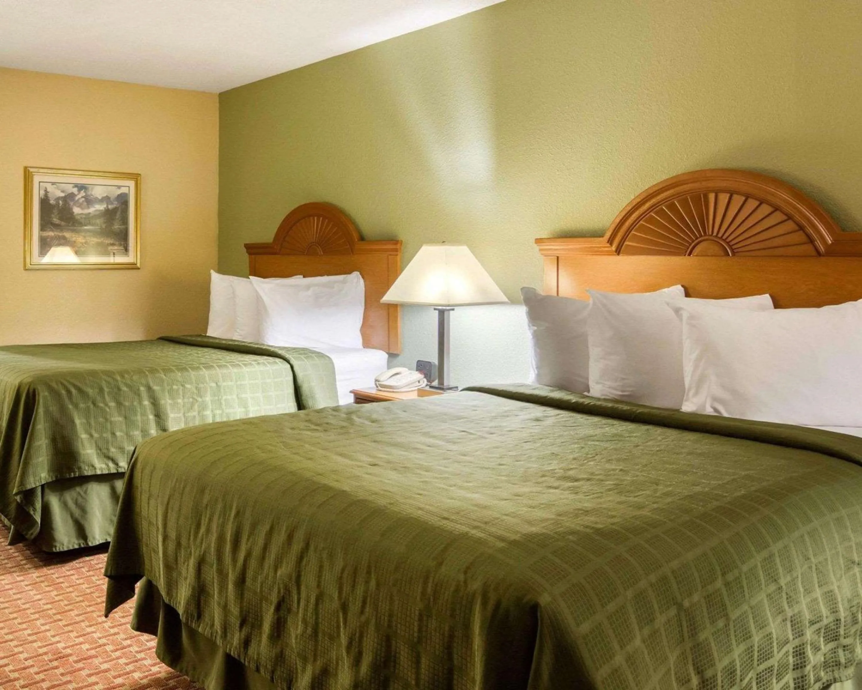 Photo of the whole room, Bed in Quality Inn South Hill I-85