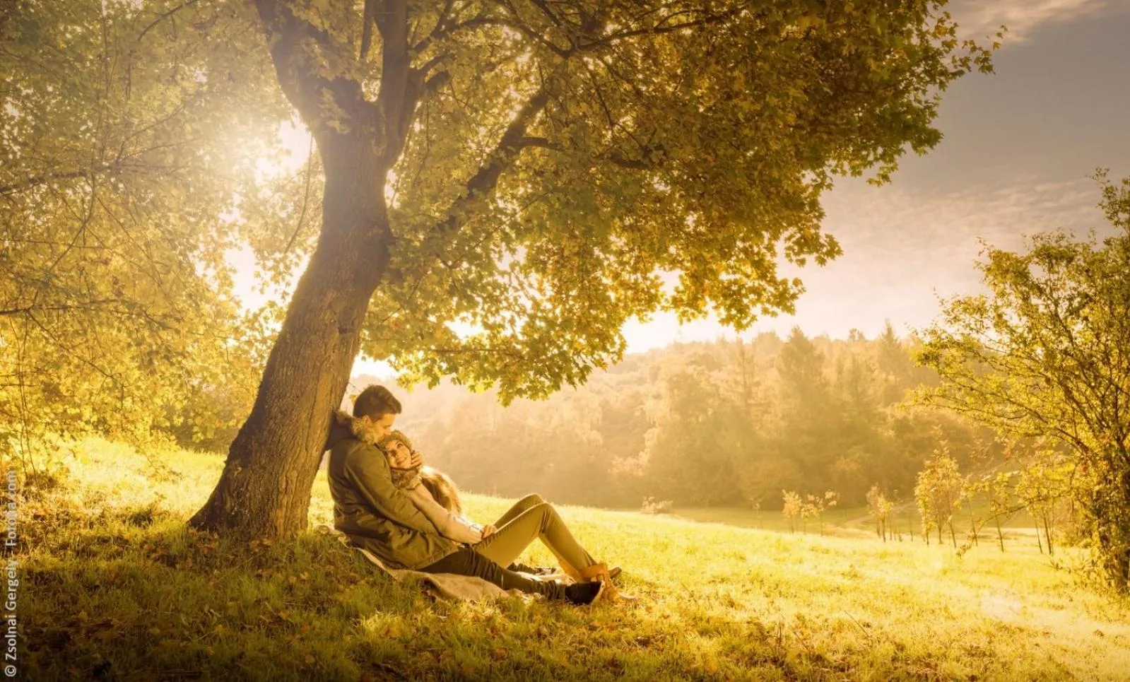 View (from property/room) in Schwarzwald Wellnesshotel SAIGERHÖH I Spa Golf & Wandern über dem Titisee