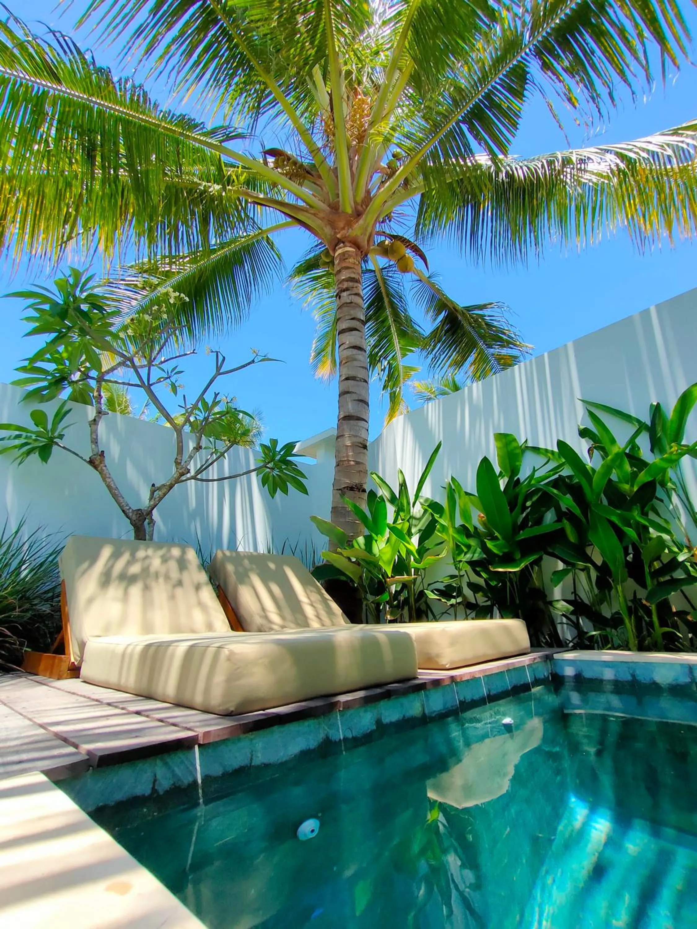 Garden in Kalea Villas