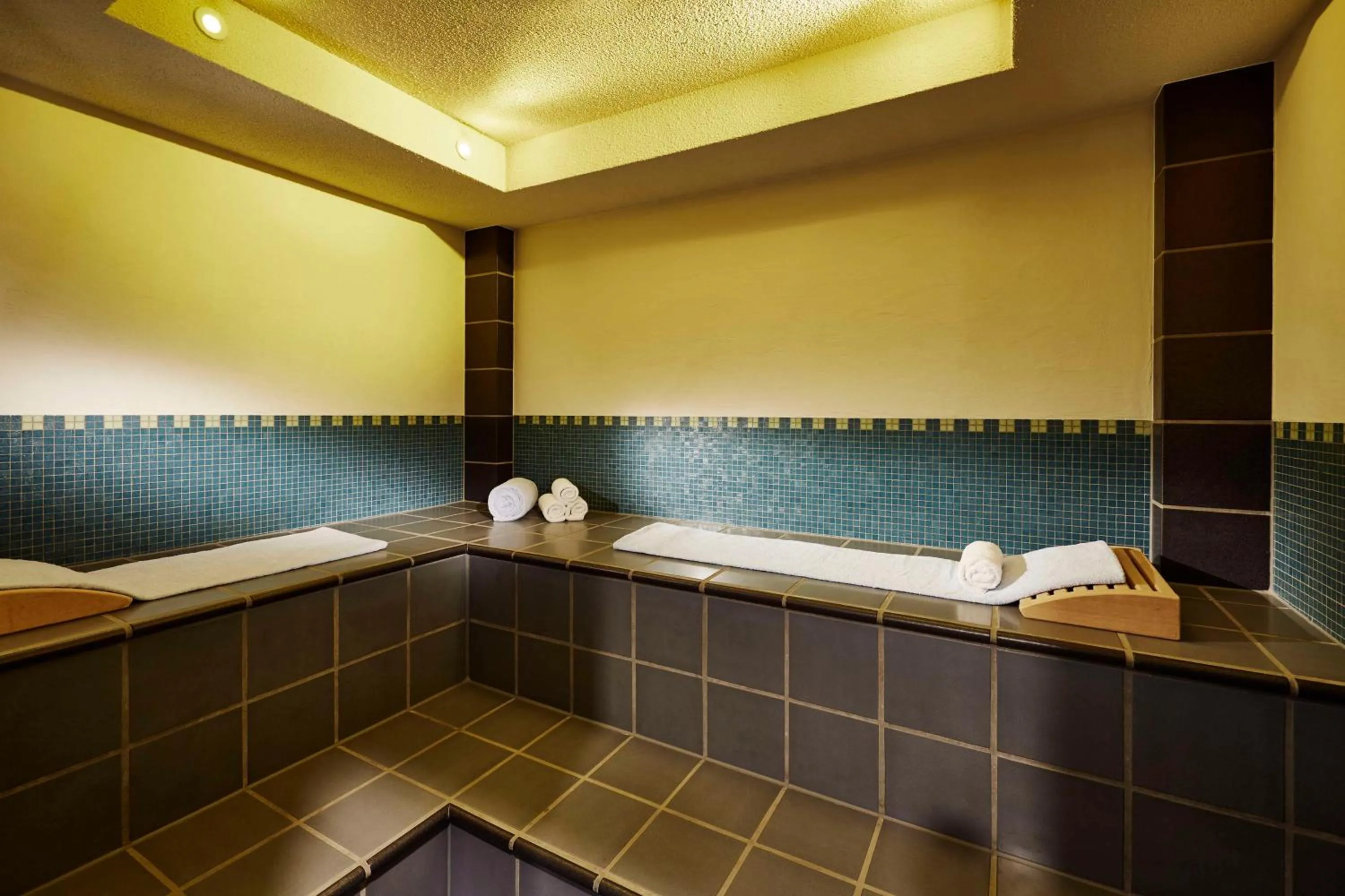 Spa and wellness centre/facilities in Lindner Hotel Frankfurt Main Plaza, part of JdV by Hyatt