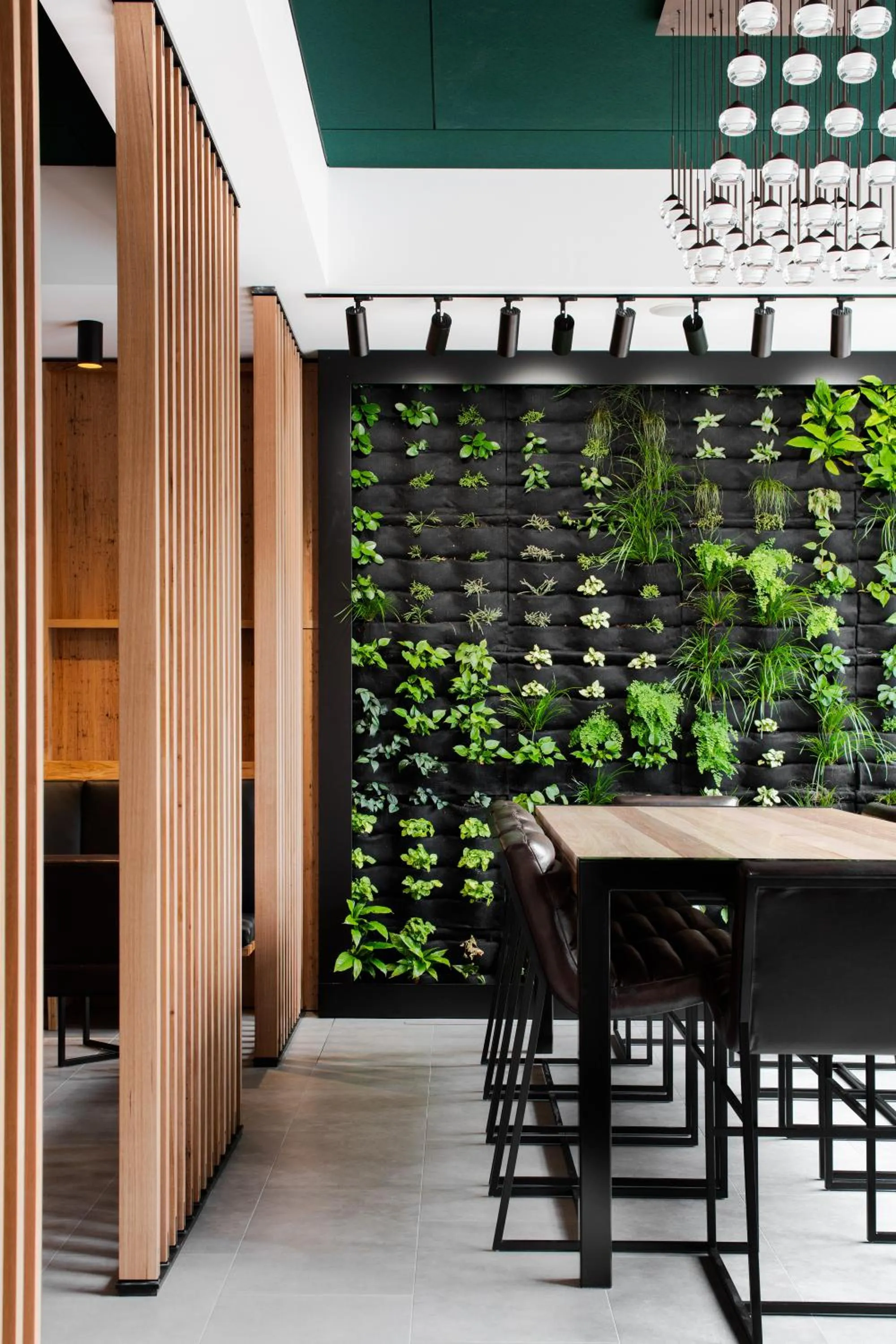 Garden in Hotel Verge Launceston