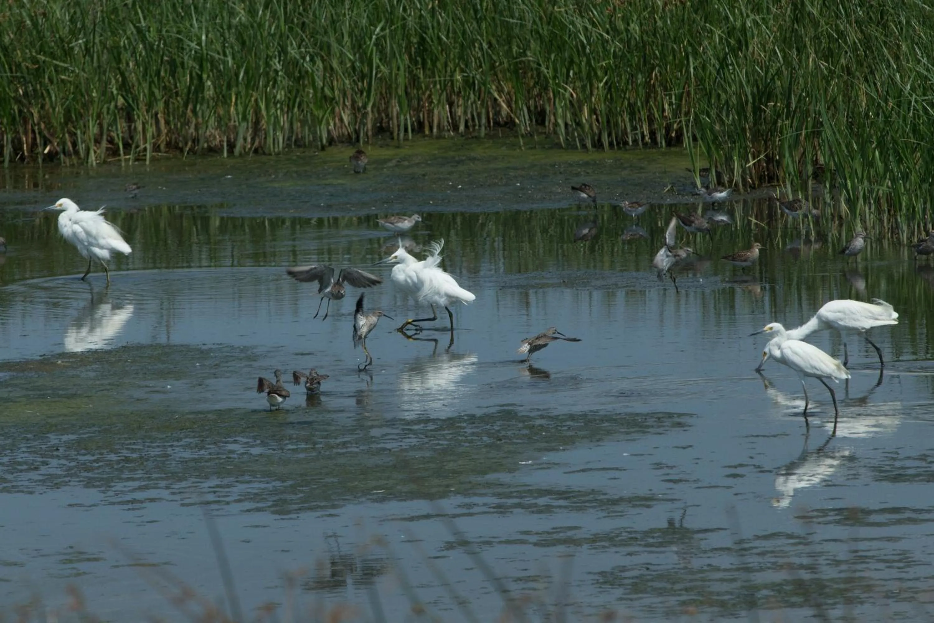 Nearby landmark in Rodeway Inn & Suites Hoisington