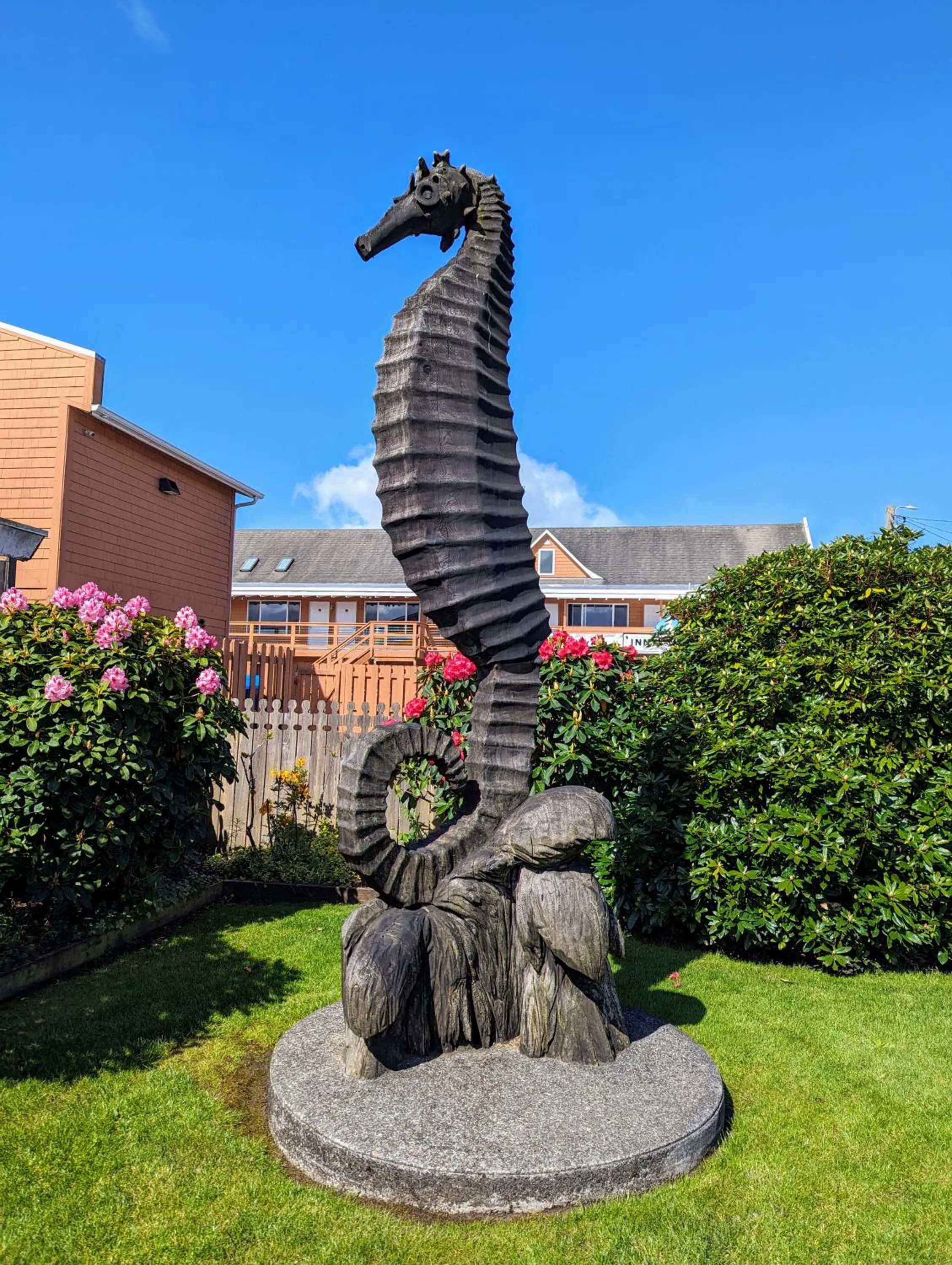 Garden view in Inn at the Sea