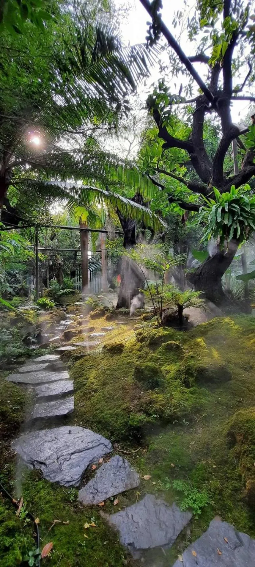 Treescape Resort Chiangmai