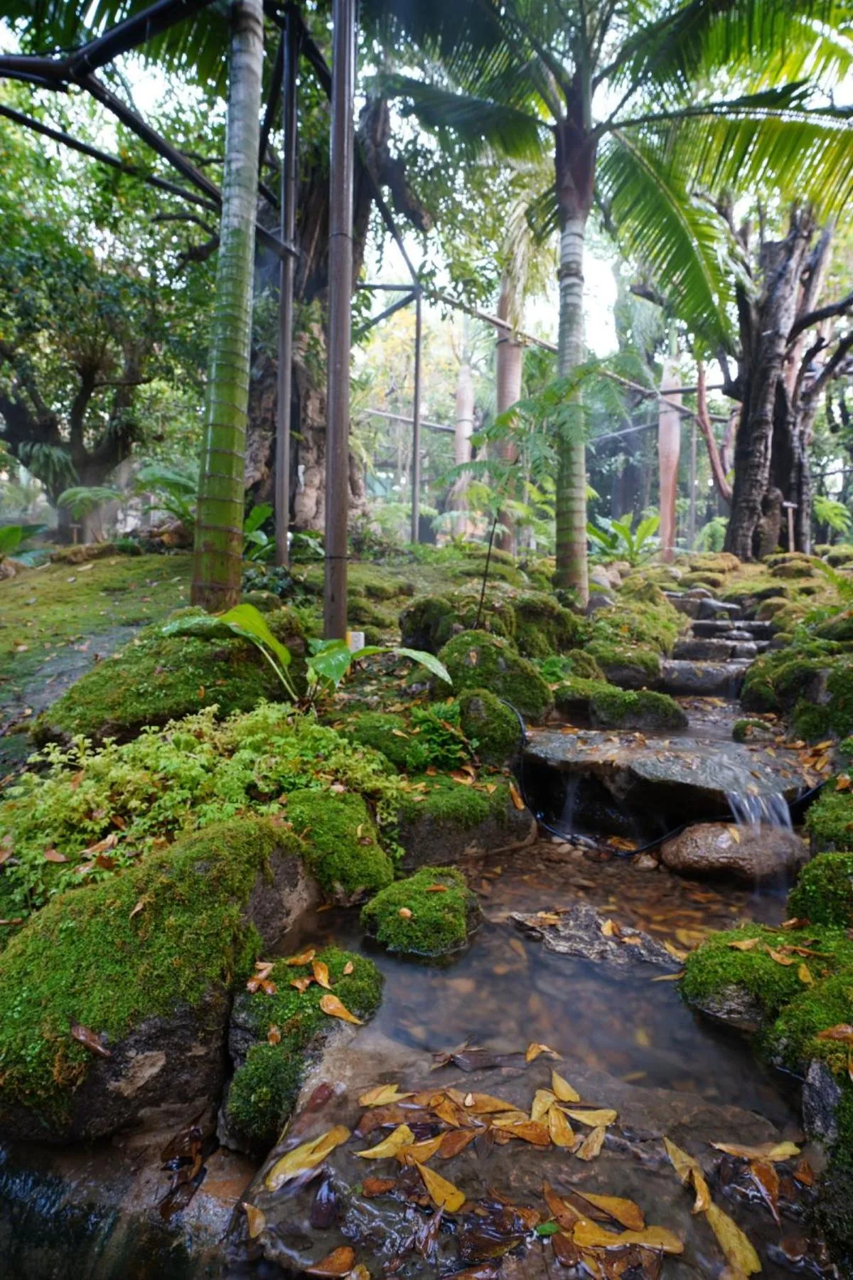 Garden in Treescape Resort Chiangmai