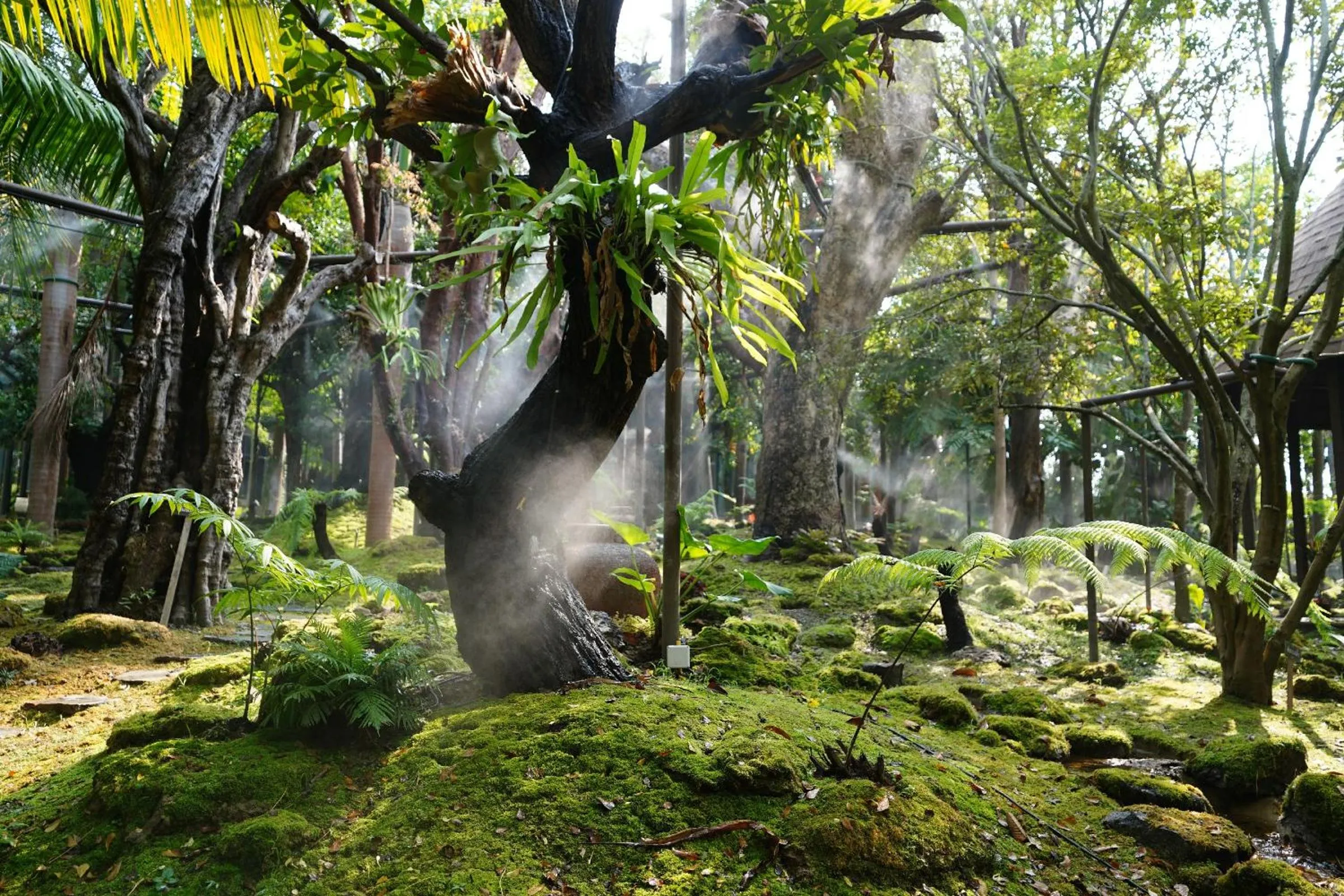 Garden in Treescape Resort Chiangmai