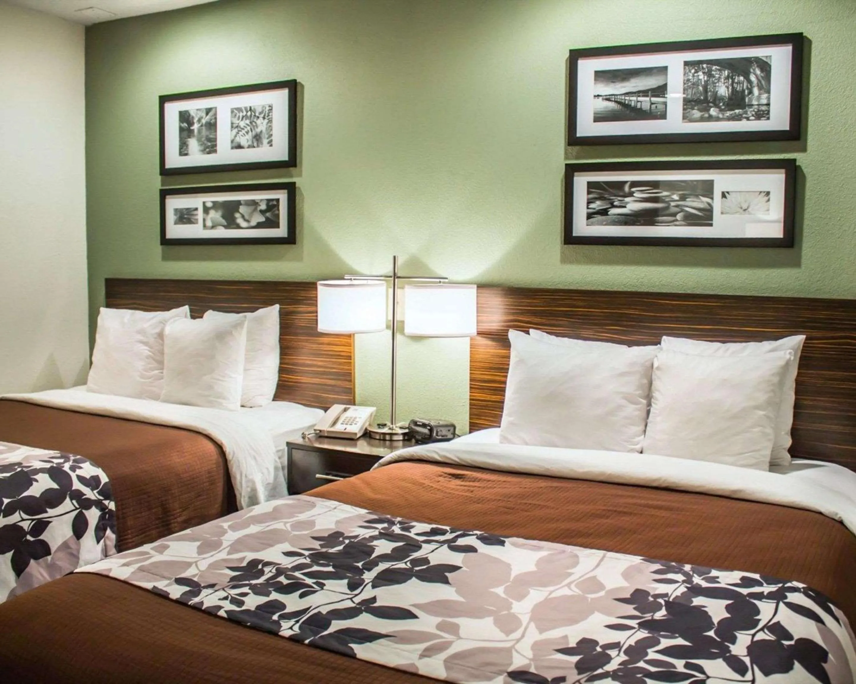 Photo of the whole room, Bed in Sleep Inn Summersville - New River Gorge Area