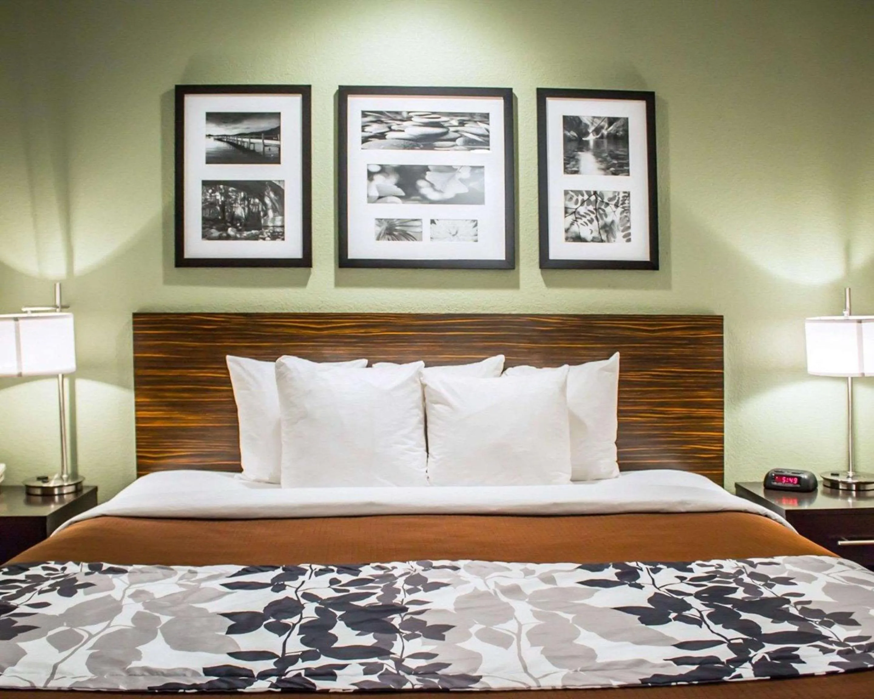 Photo of the whole room, Bed in Sleep Inn Summersville - New River Gorge Area