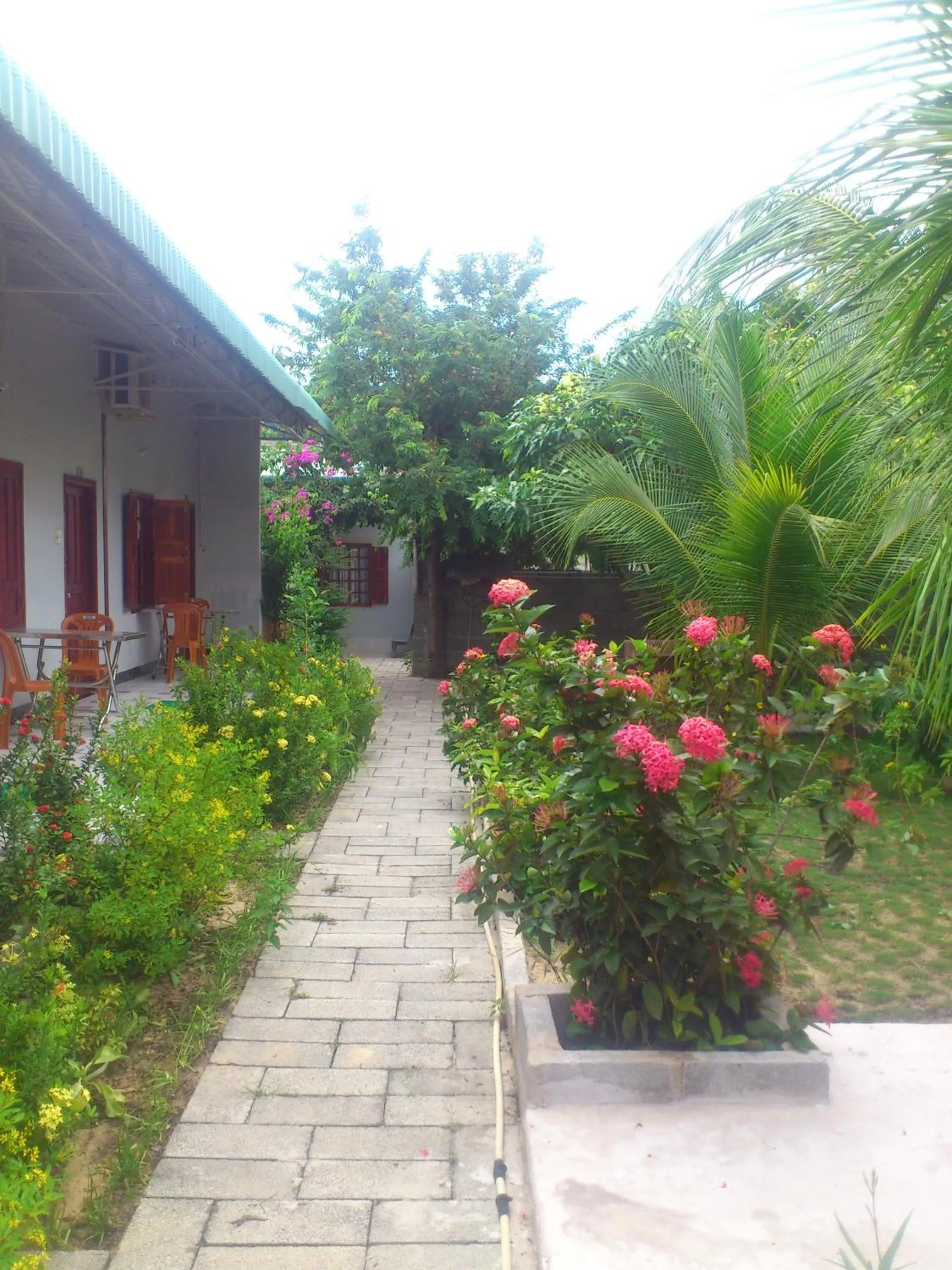 Garden in Diem Lien Guesthouse