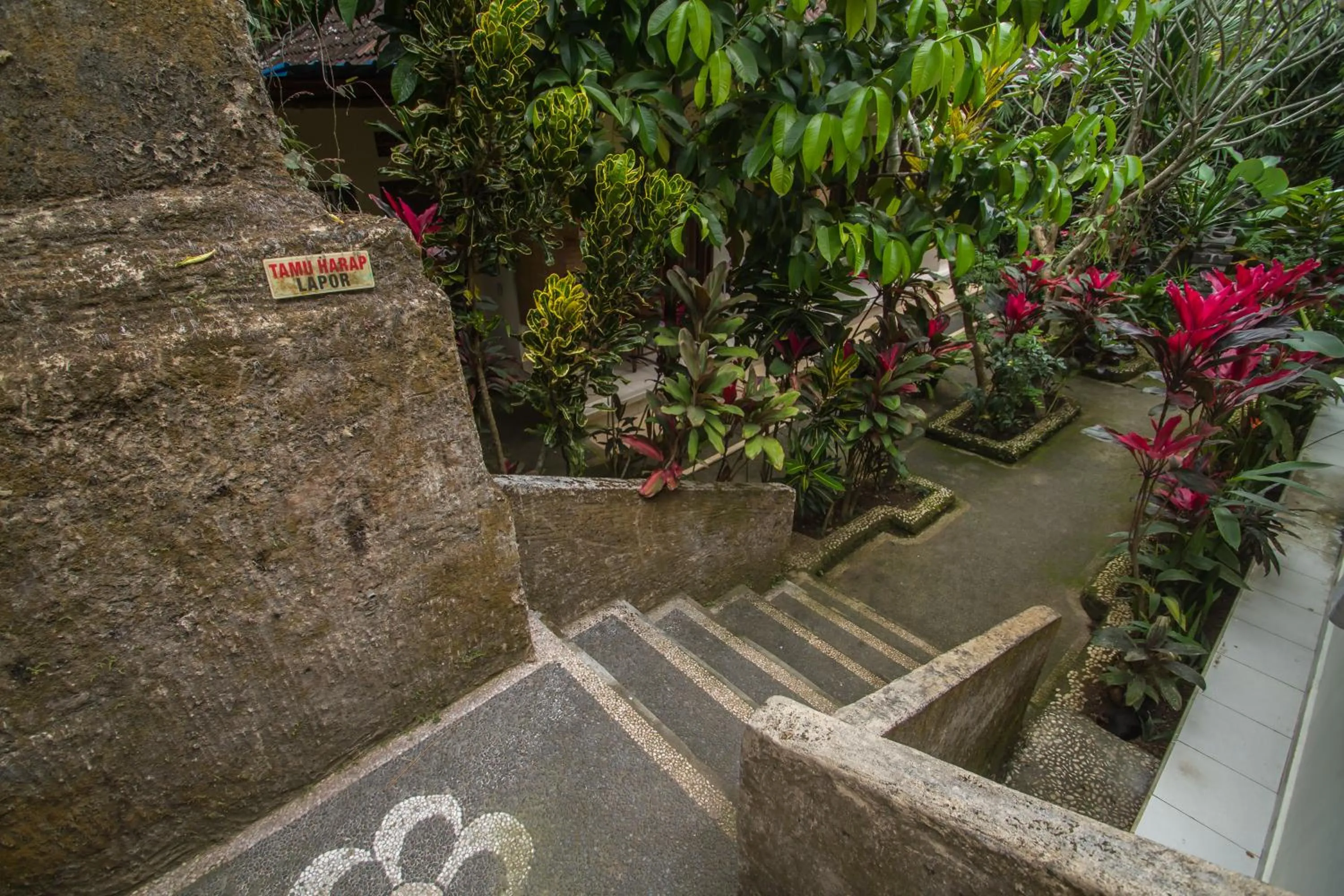 Day in Omah D'Taman by EPS