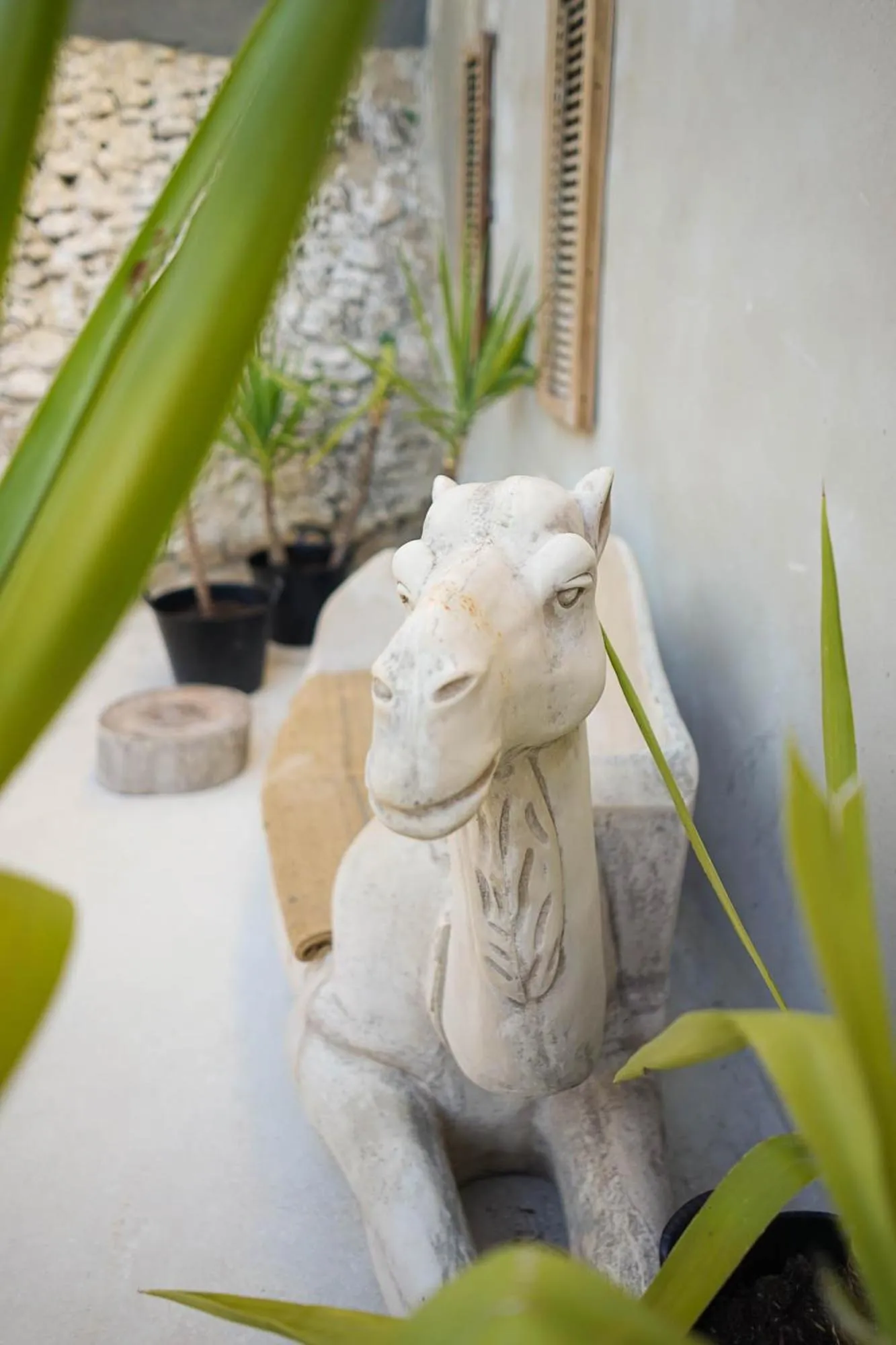 Balcony/Terrace in Ronda Center Apartments with Pool