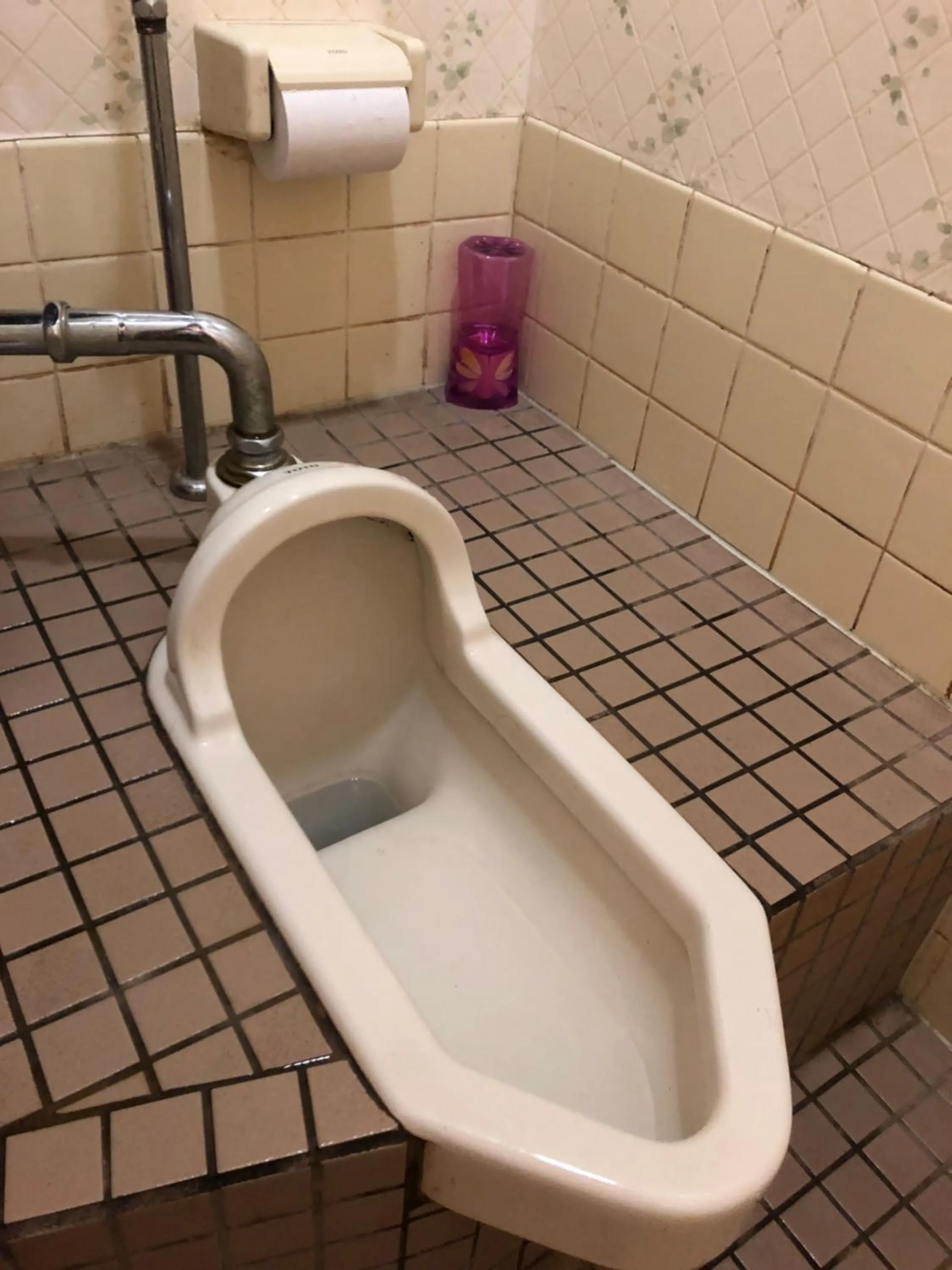 Toilet in Ichifujiso