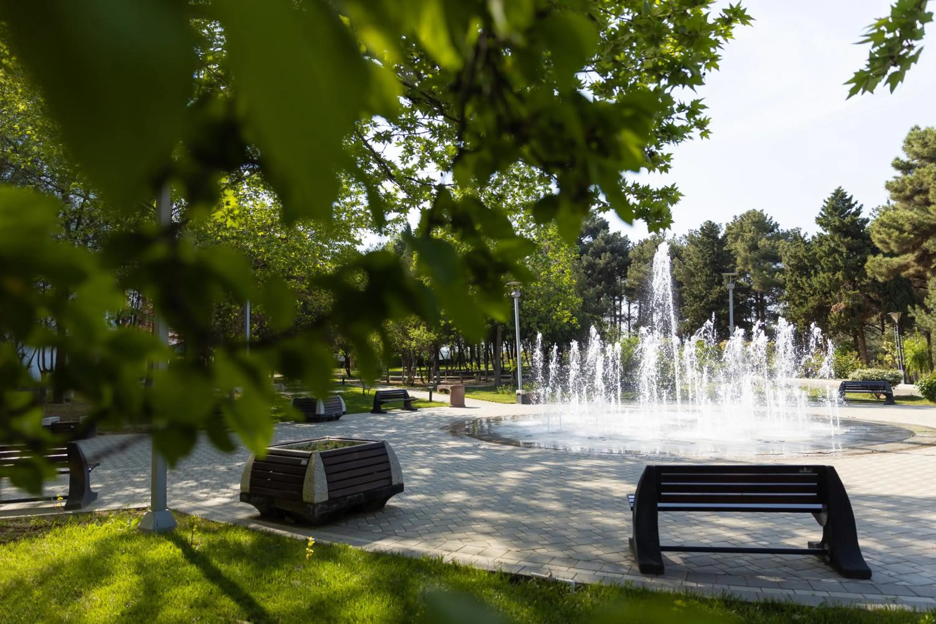 Garden in Chinar Health Hotel Naftalan