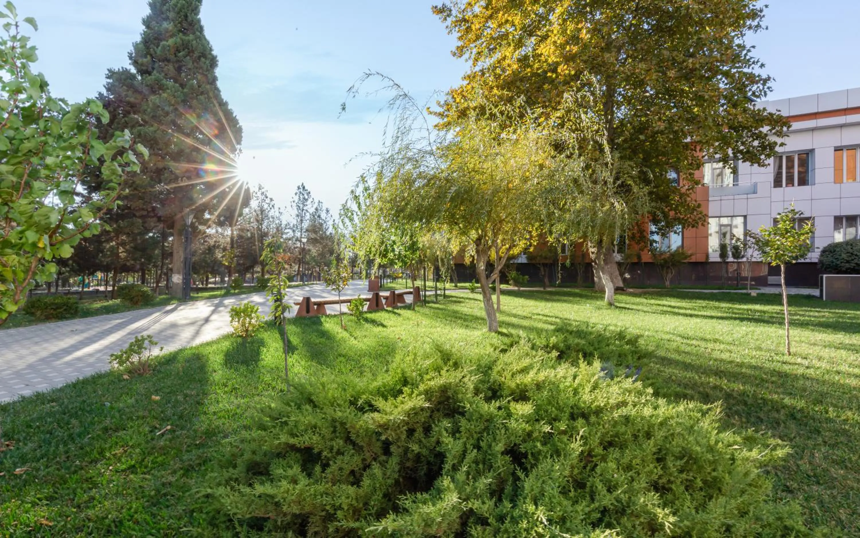 Garden in Chinar Health Hotel Naftalan