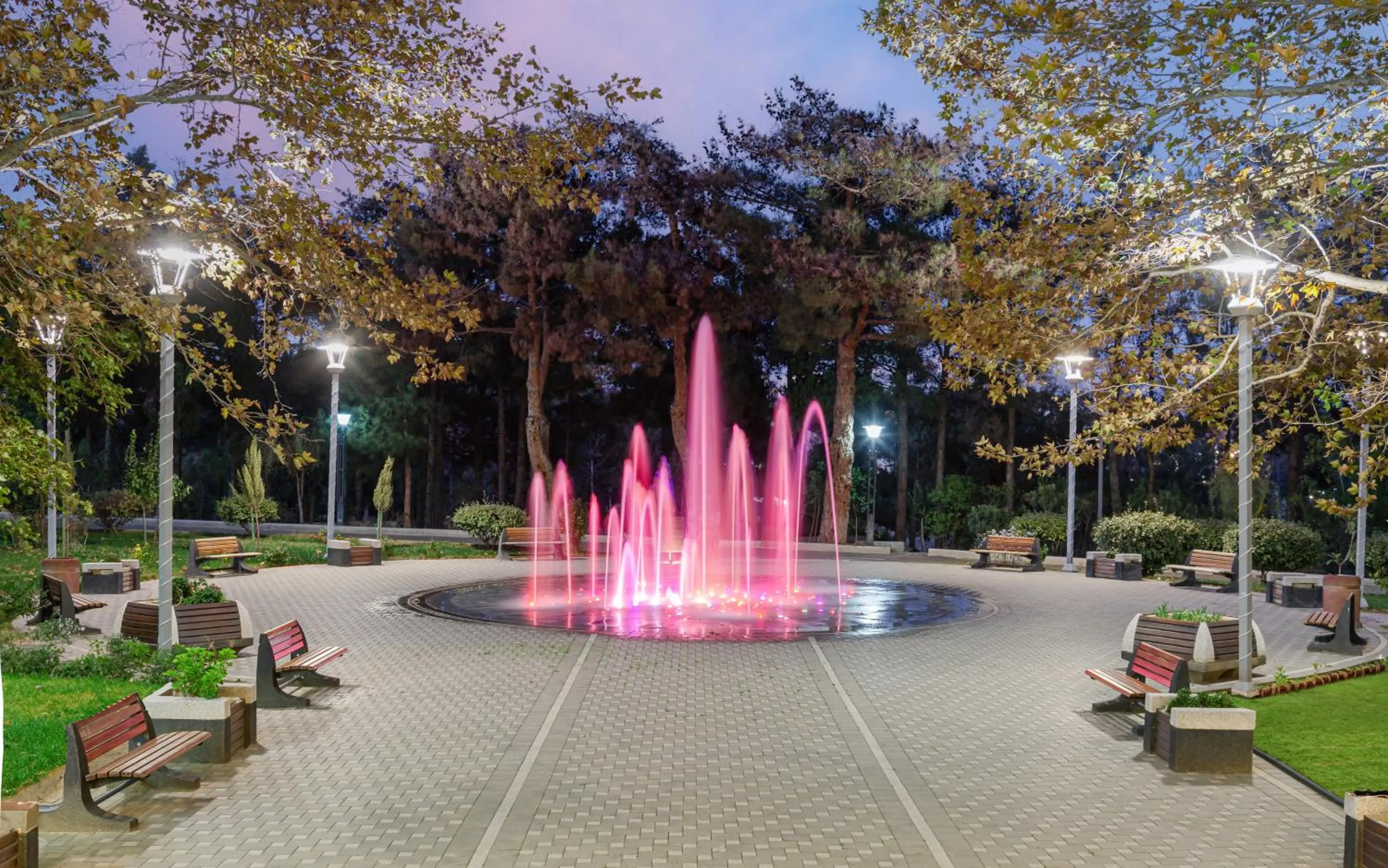 Garden in Chinar Health Hotel Naftalan