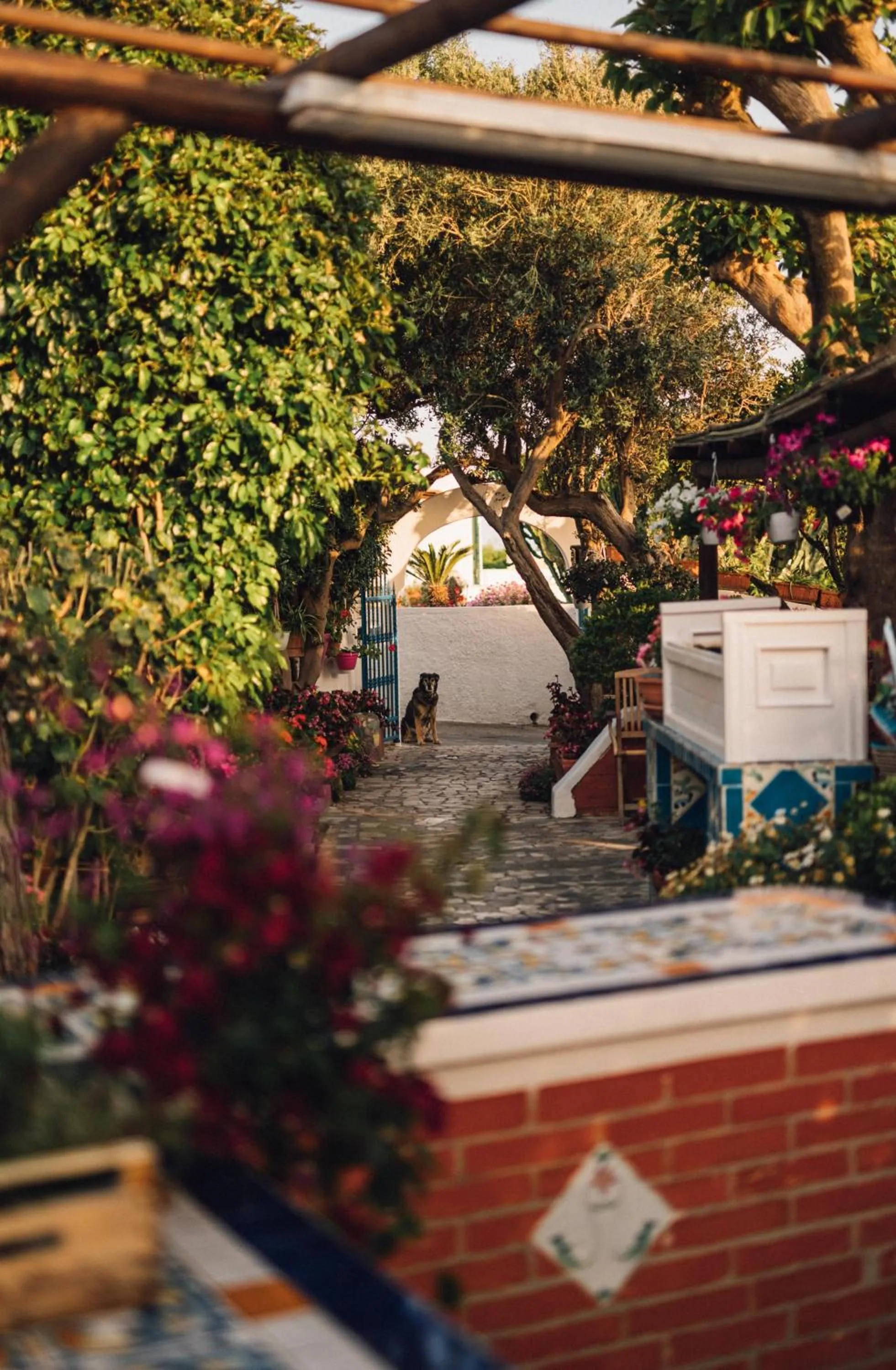 Garden in Hotel Villa Maria