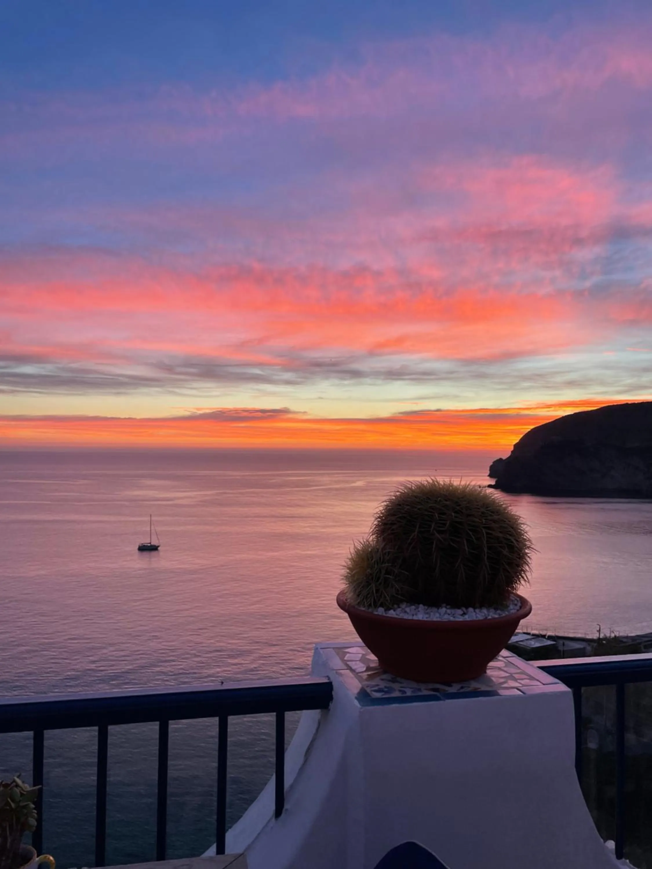 Balcony/Terrace in Hotel Villa Maria