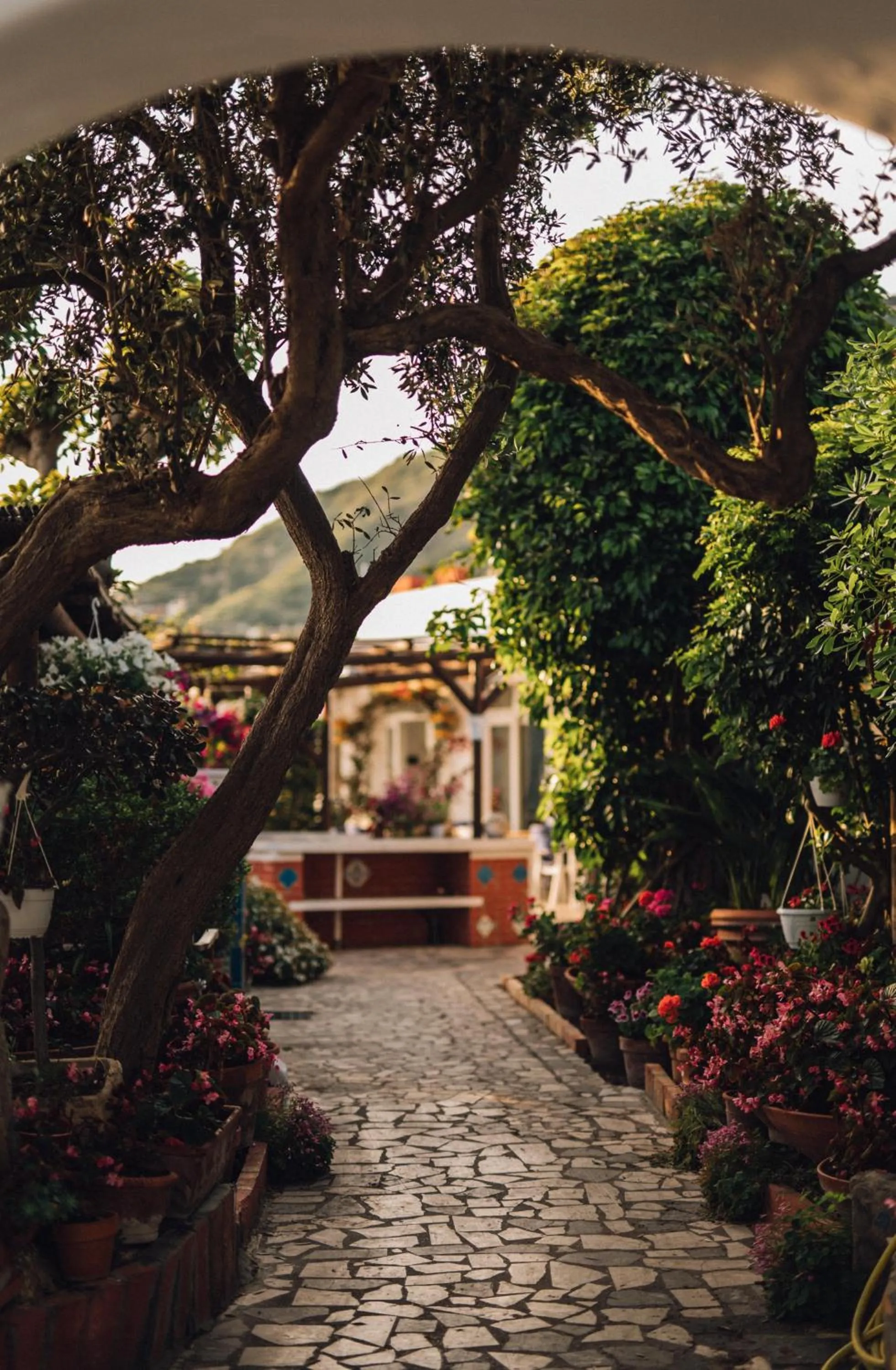 Garden in Hotel Villa Maria