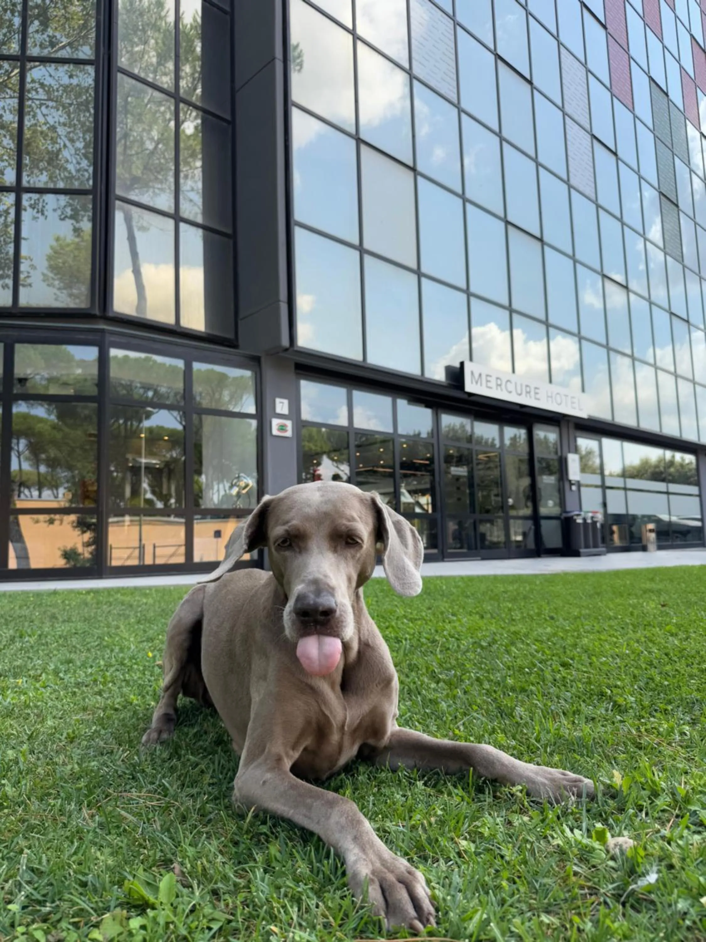 pet friendly in Mercure Roma Cinecittà