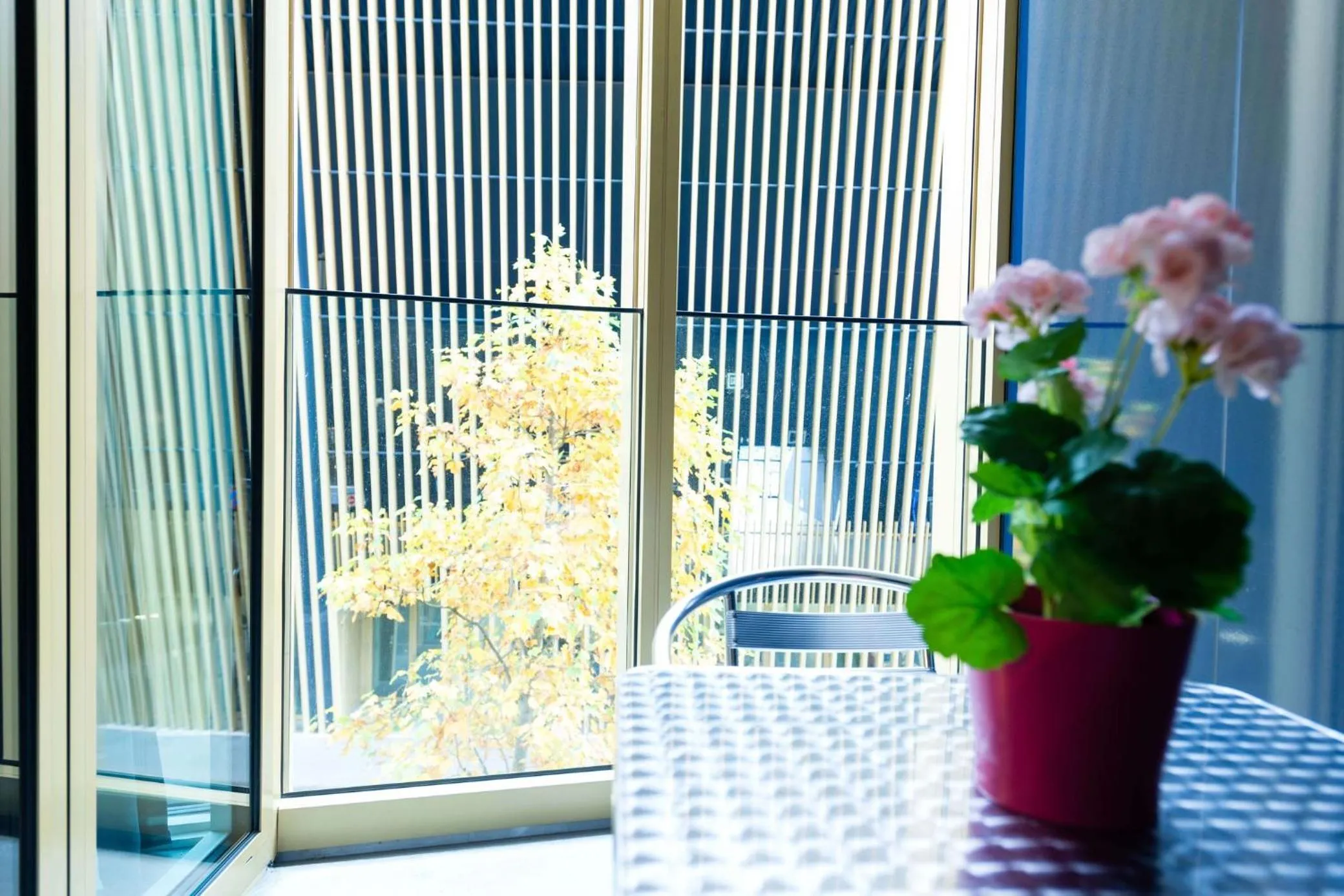 Balcony/Terrace in HITrental Allmend Comfort Studios