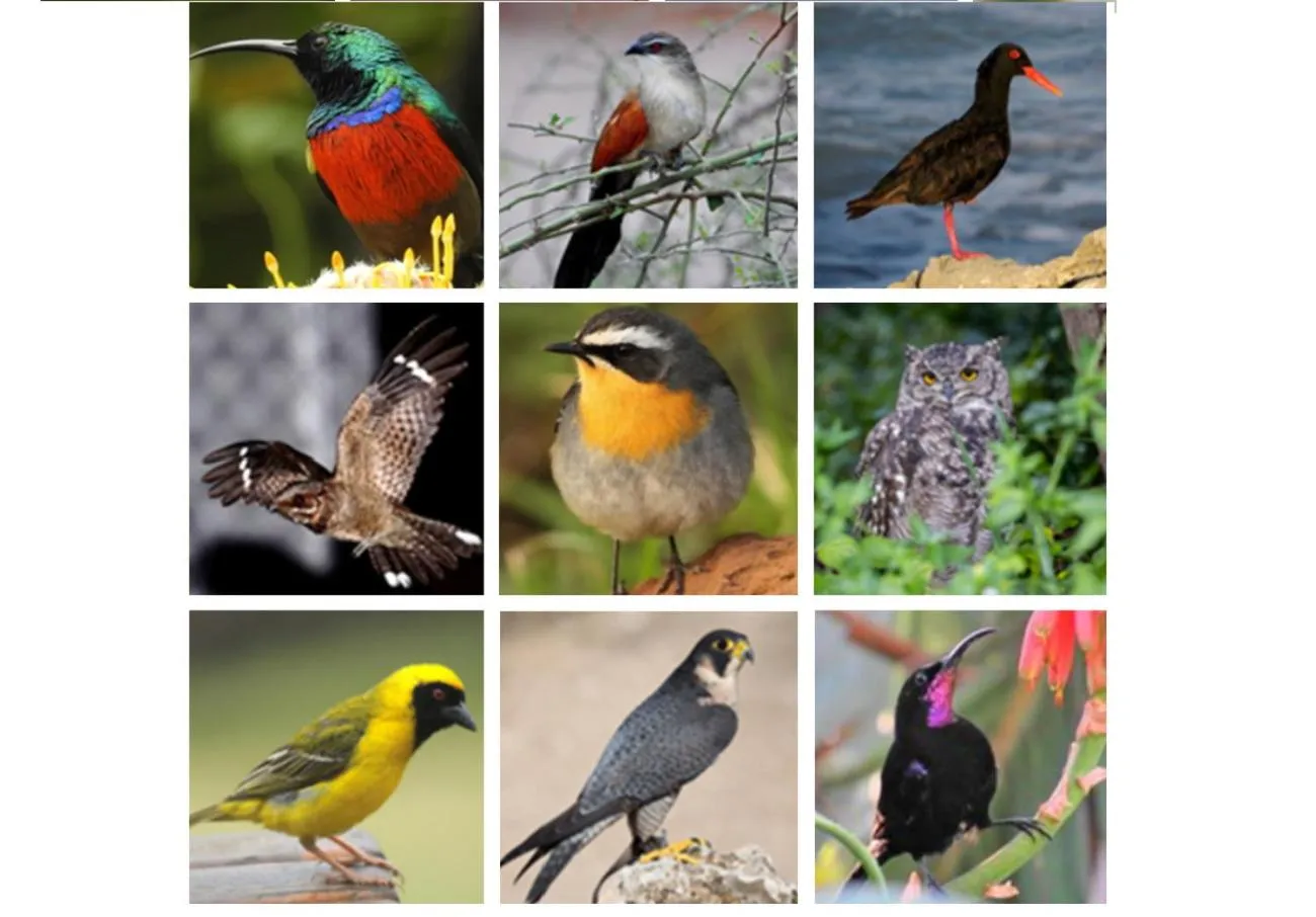 Activities in Erika27 Top B&B Choice