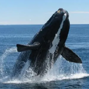 Erika27 Top B&B Choice