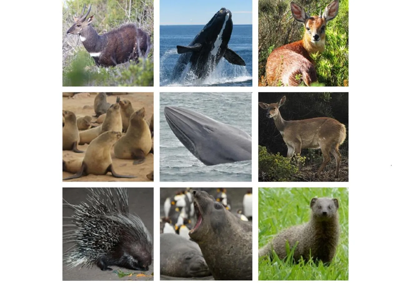 Other in Erika27 Top B&B Choice