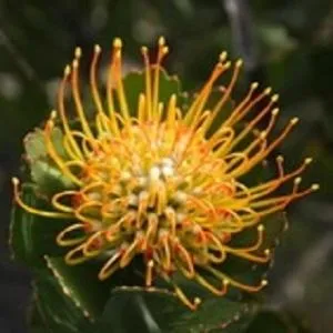 Erika27 Top B&B Choice