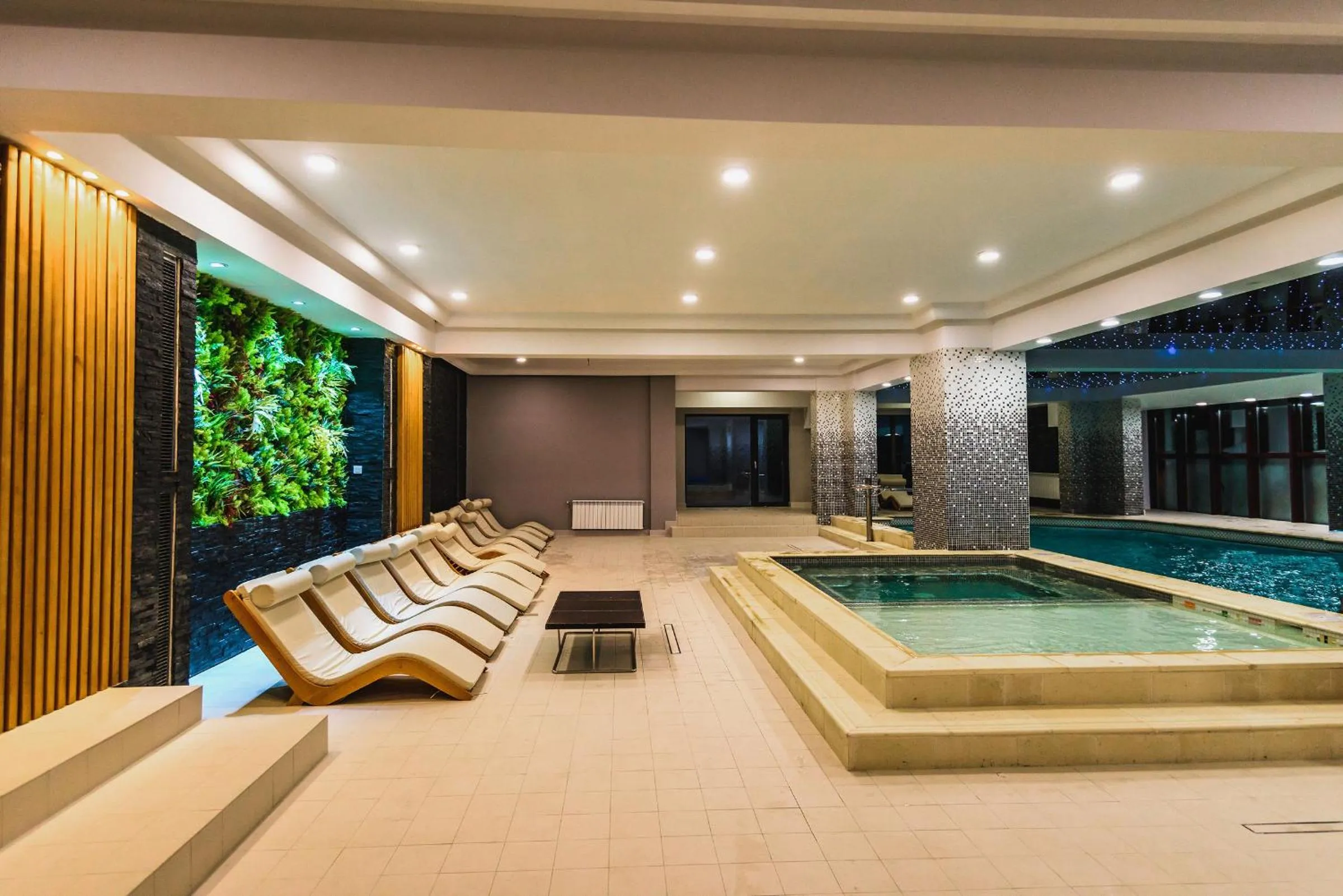 Hot Tub in HOTEL CARPAT INN