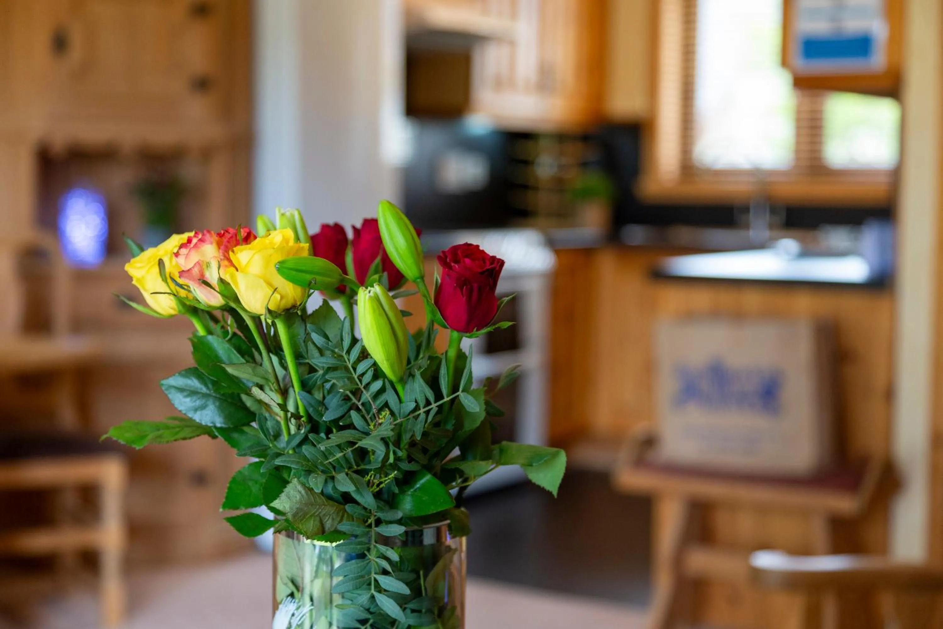Kitchen or kitchenette in Scandinavian Village Ltd