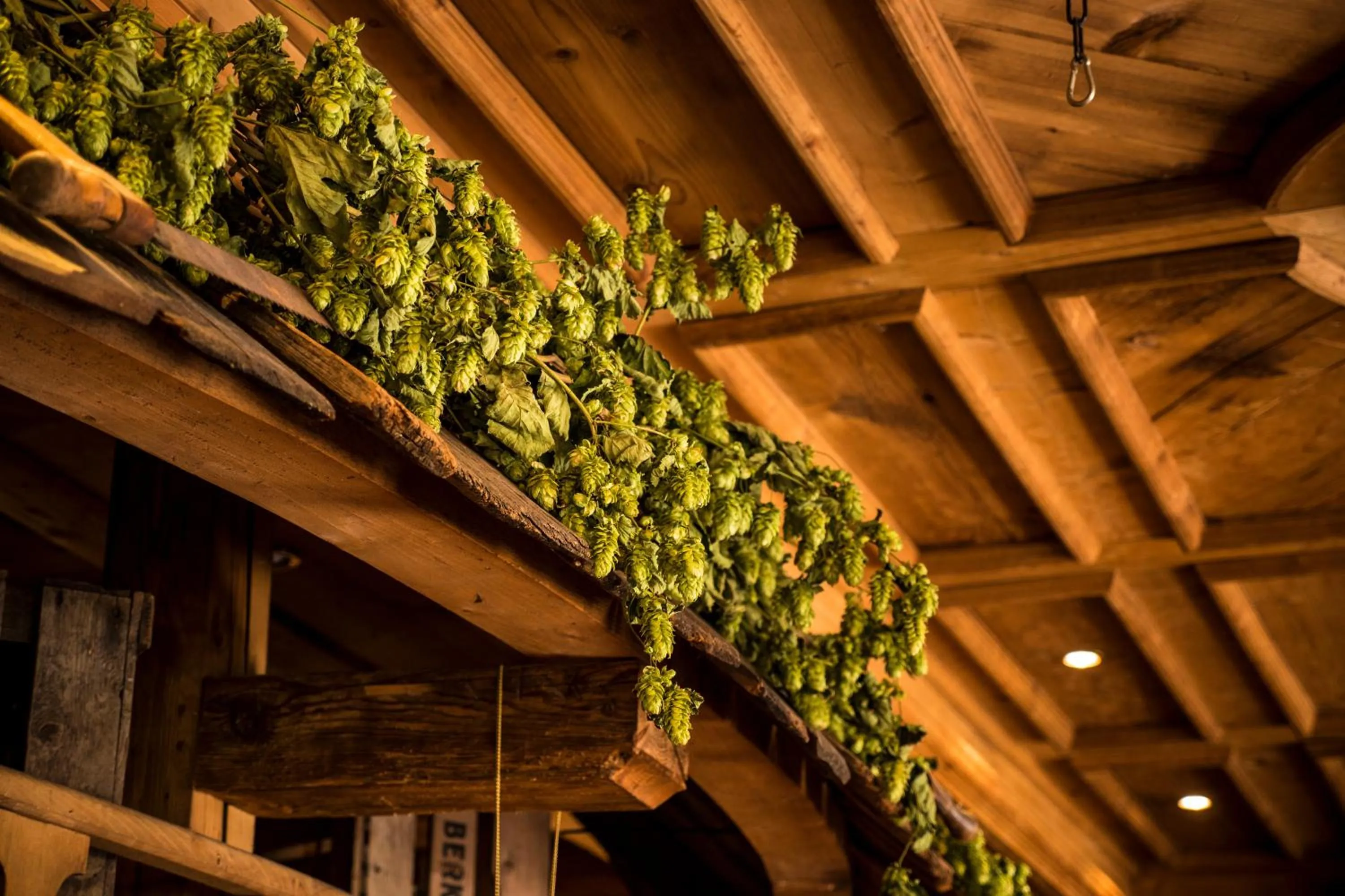 Restaurant/places to eat in Hotel Almwirt