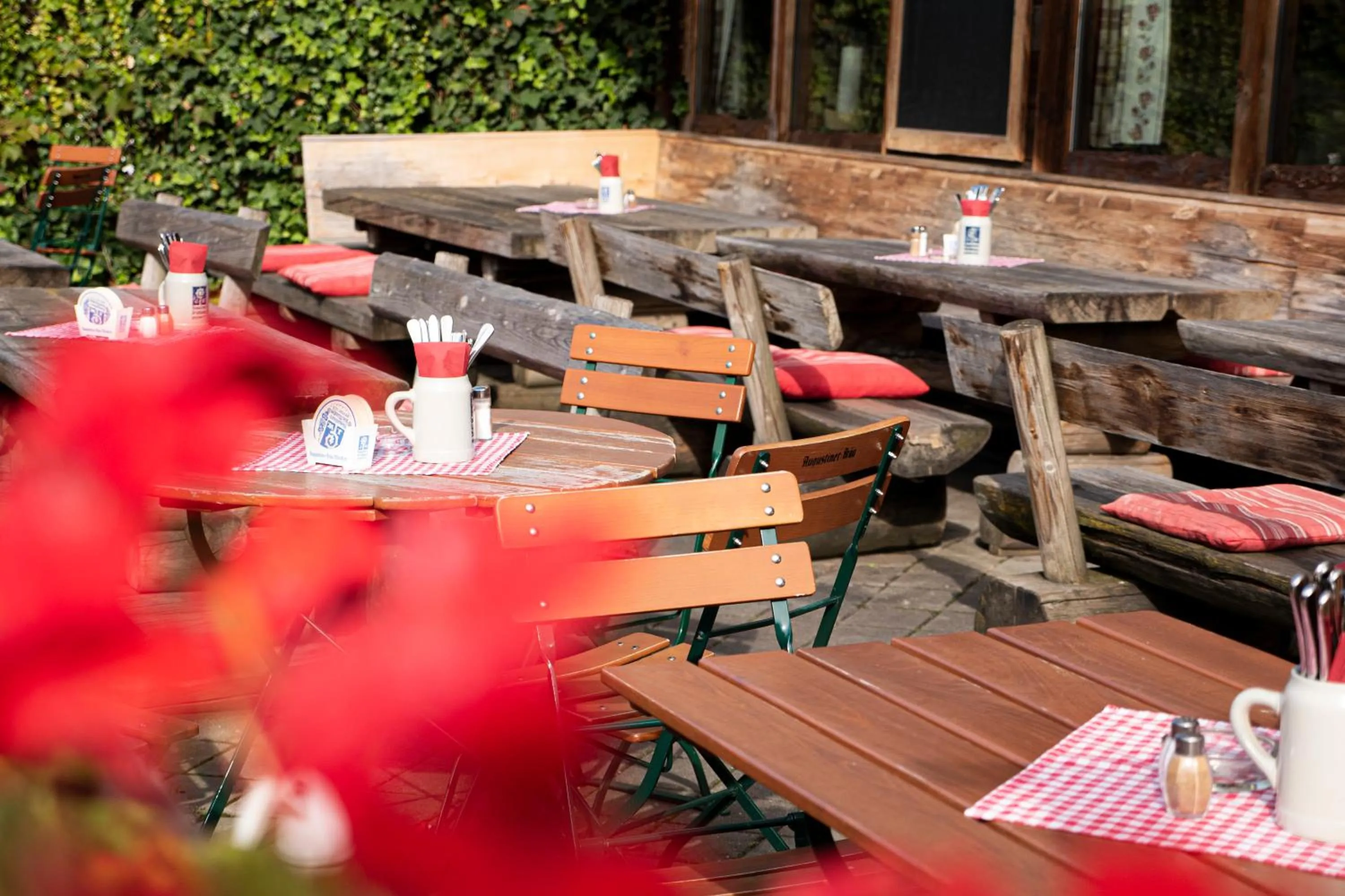Balcony/Terrace in Hotel Almwirt