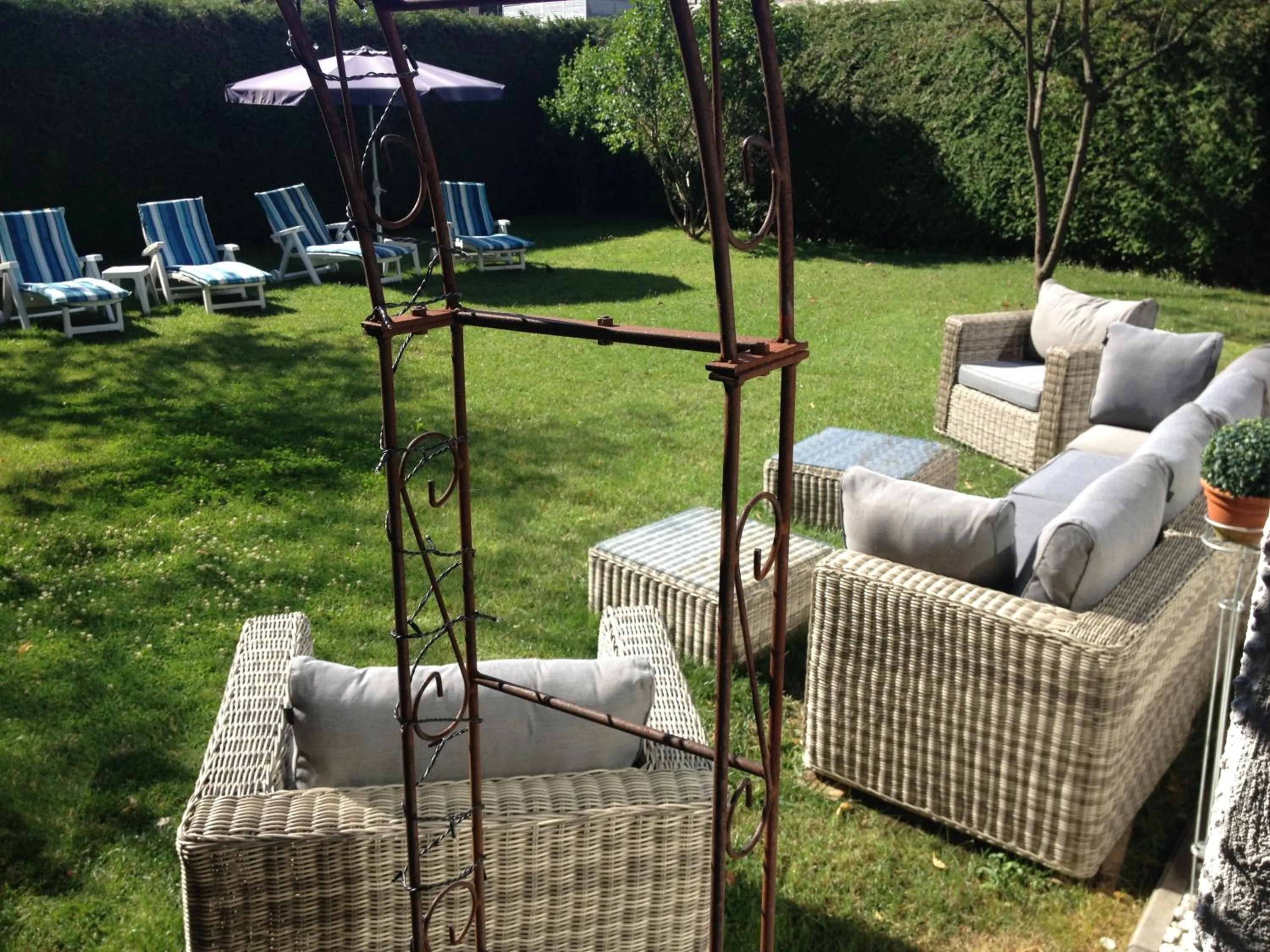 Garden in Hotel Roter Hahn - Bed & Breakfast