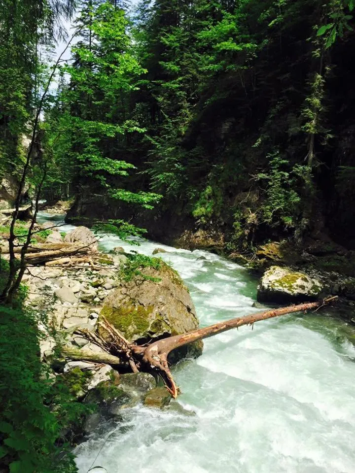 Day in Hotel Garni Regina